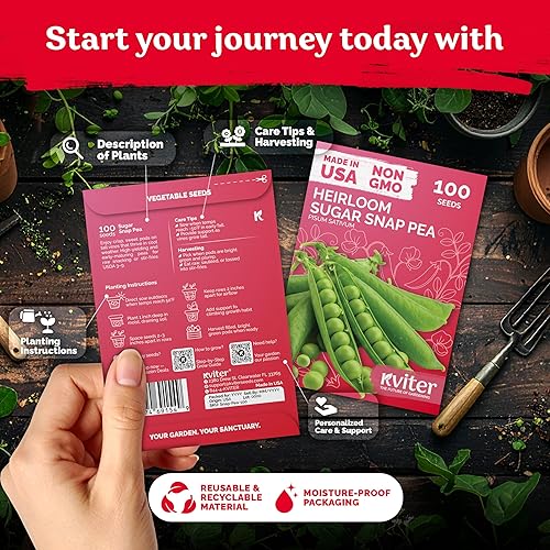 Miniatura 2 de KVITER 100 semillas de guisantes azucarados (Pisum sativum)  Semilla autóctona de guisantes dulces, sabor crujiente, vainas más jugosas y cosecha