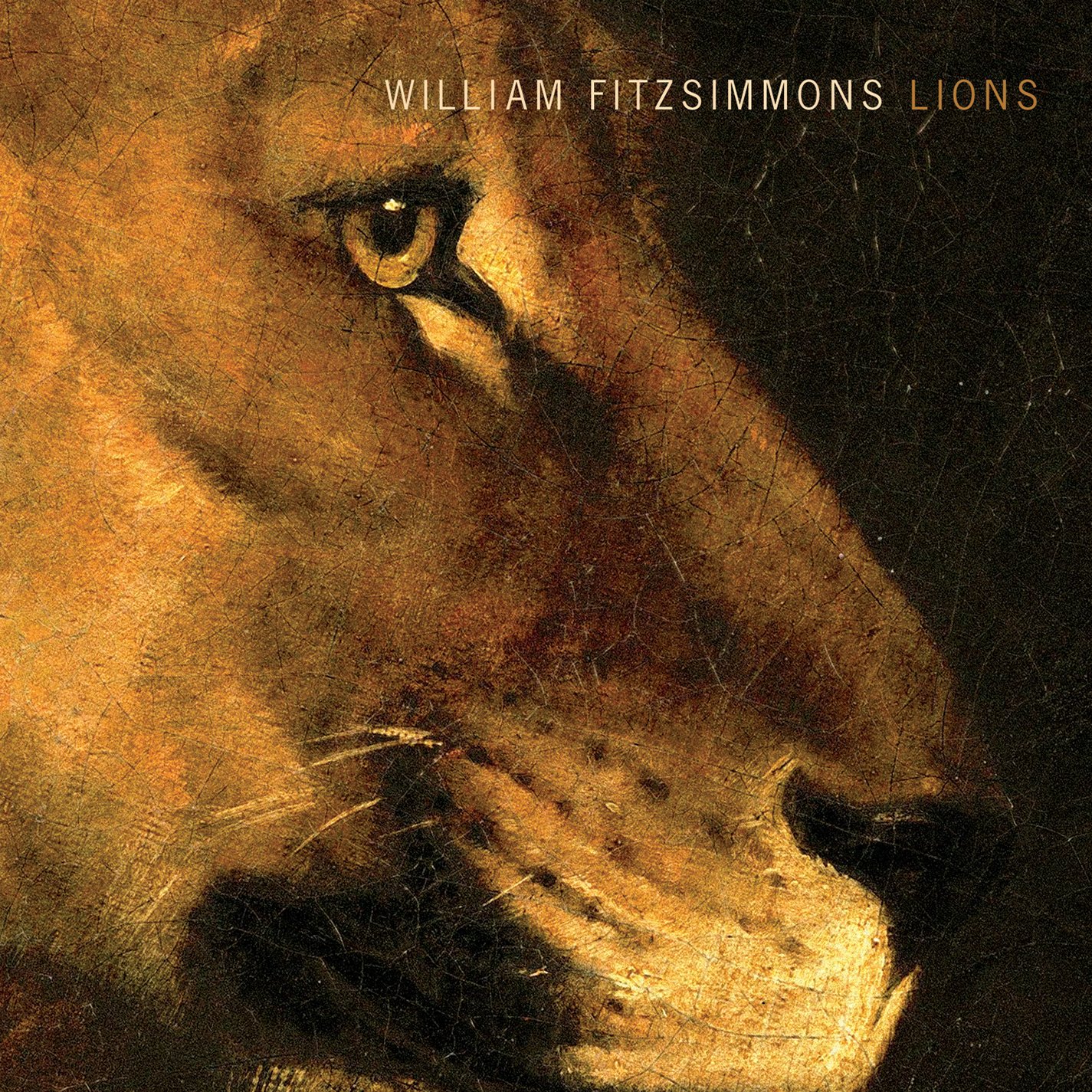 Lions [Audio CD] Fitzsimmons, William