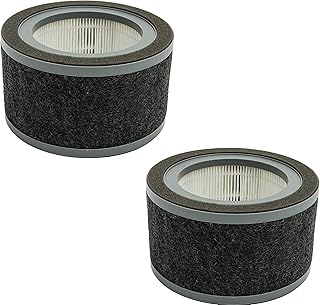 FLT4200 H13 True HEPA Replacement L Filter, Compatible with GermGuardian Air Purifier Models AC4200 and AC4200W, Filter Size L, Part Number FLT4200 , 2-Pack