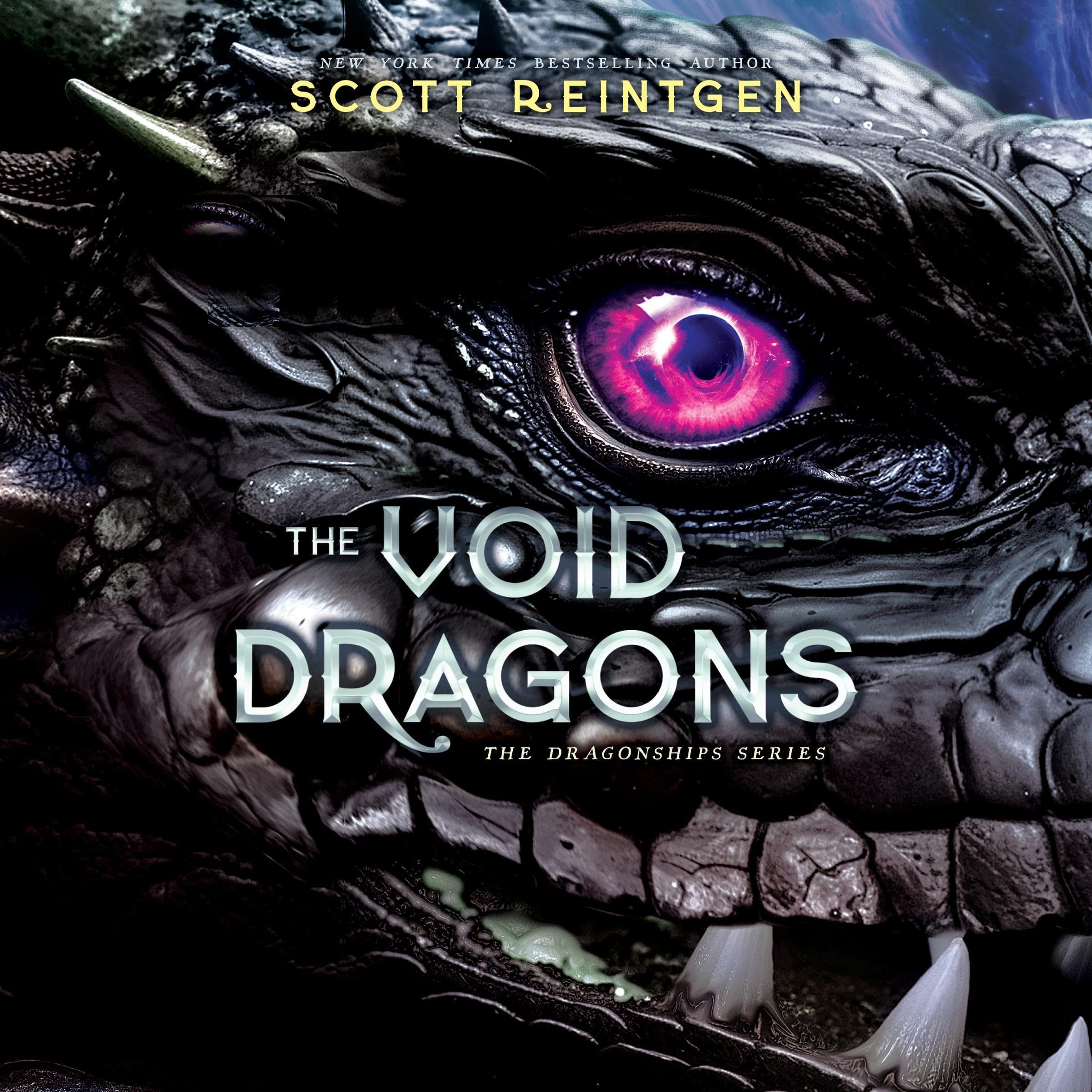 Cover art for The Void Dragons