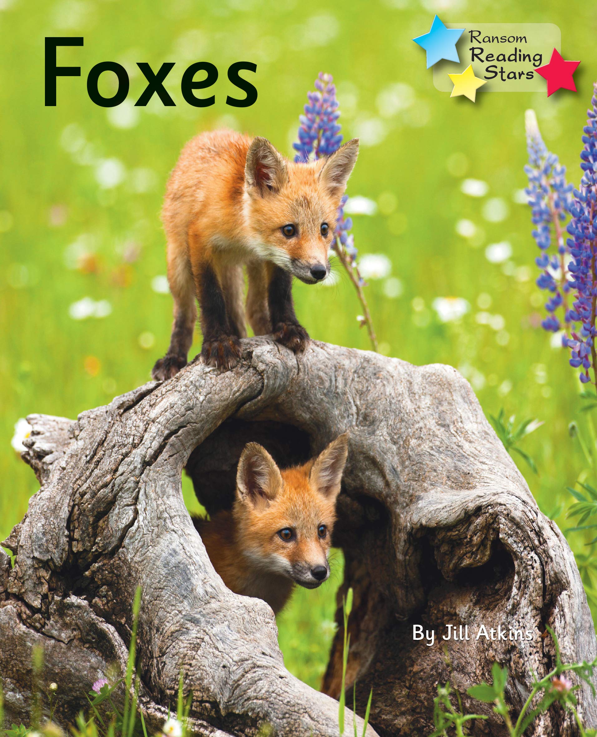 Foxes: Phonics Phase 5 (Reading Stars Phonics)
