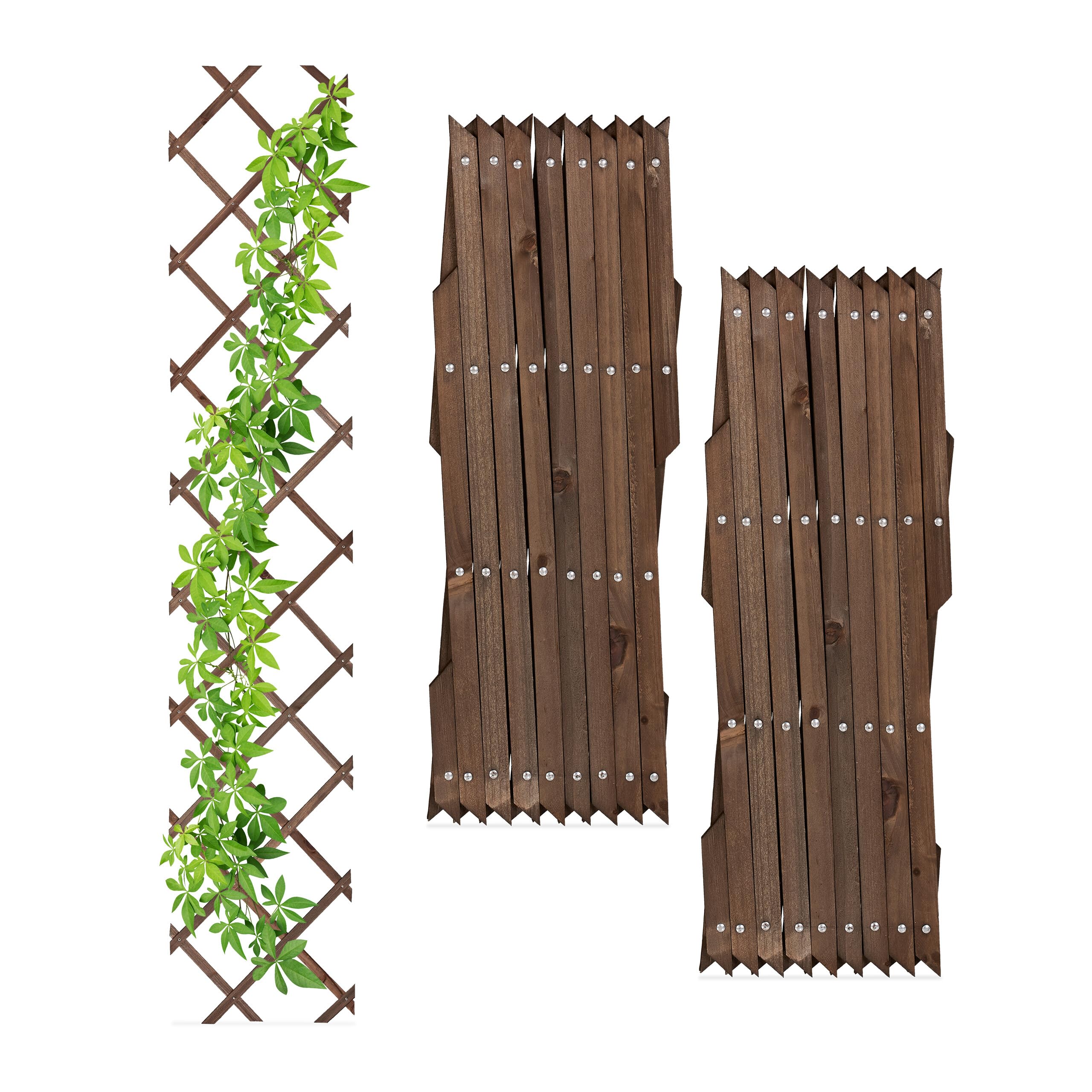Relaxdays, Juego de 3 Set 3 Guías Plantas Trepadoras, Extensibles, Enrejado Enredaderas, Balcón y Terraza, 180 cm, Madera, Marrón, 180 x 30 x 1,5 cm