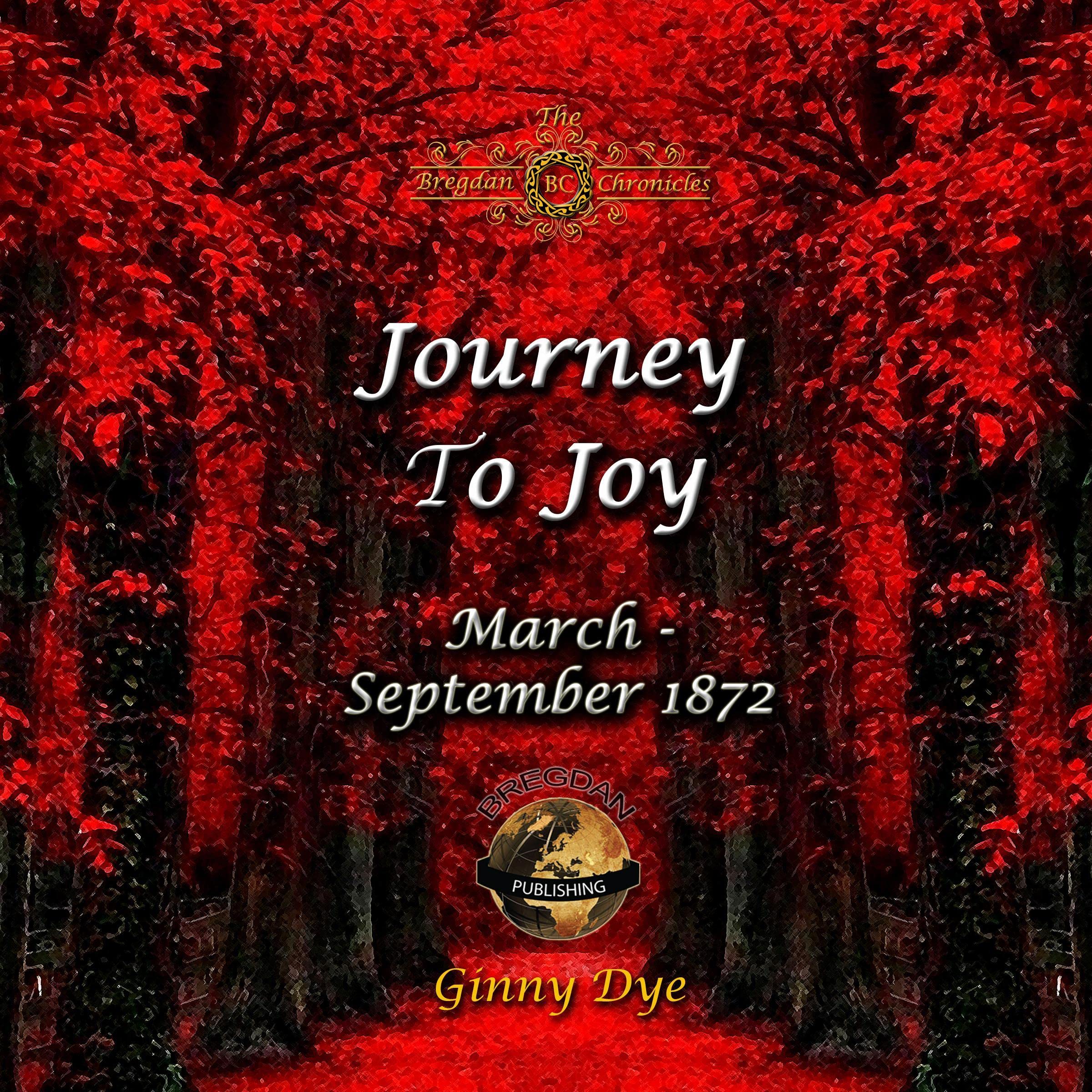 Cover art for Journey to Joy
