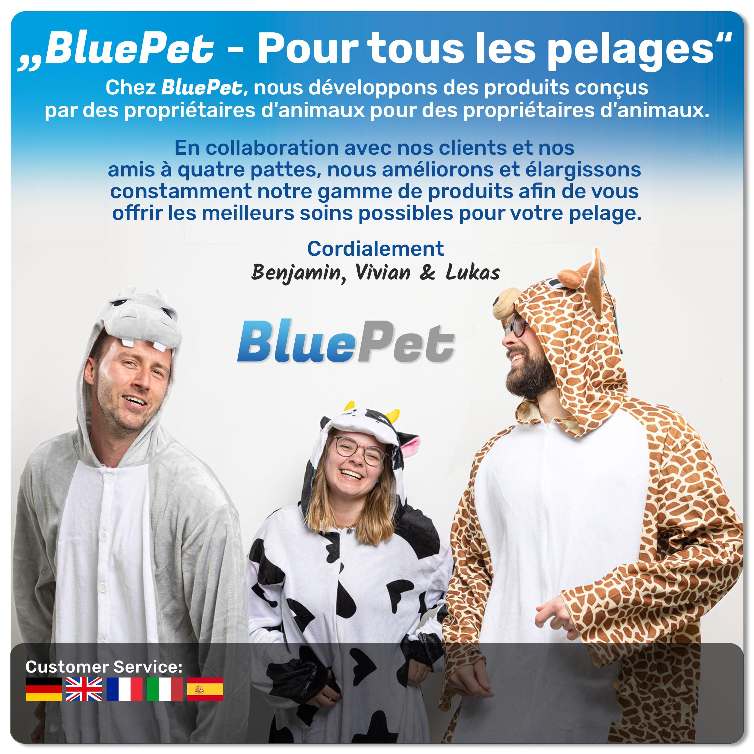 BluePet ZupfZeug Pro - Brosse professionnelle à poils longs et flexibles pour chiens et chats - Élimine doucement le sous-poil - Les nœuds et les nœuds (double tête, bleue)