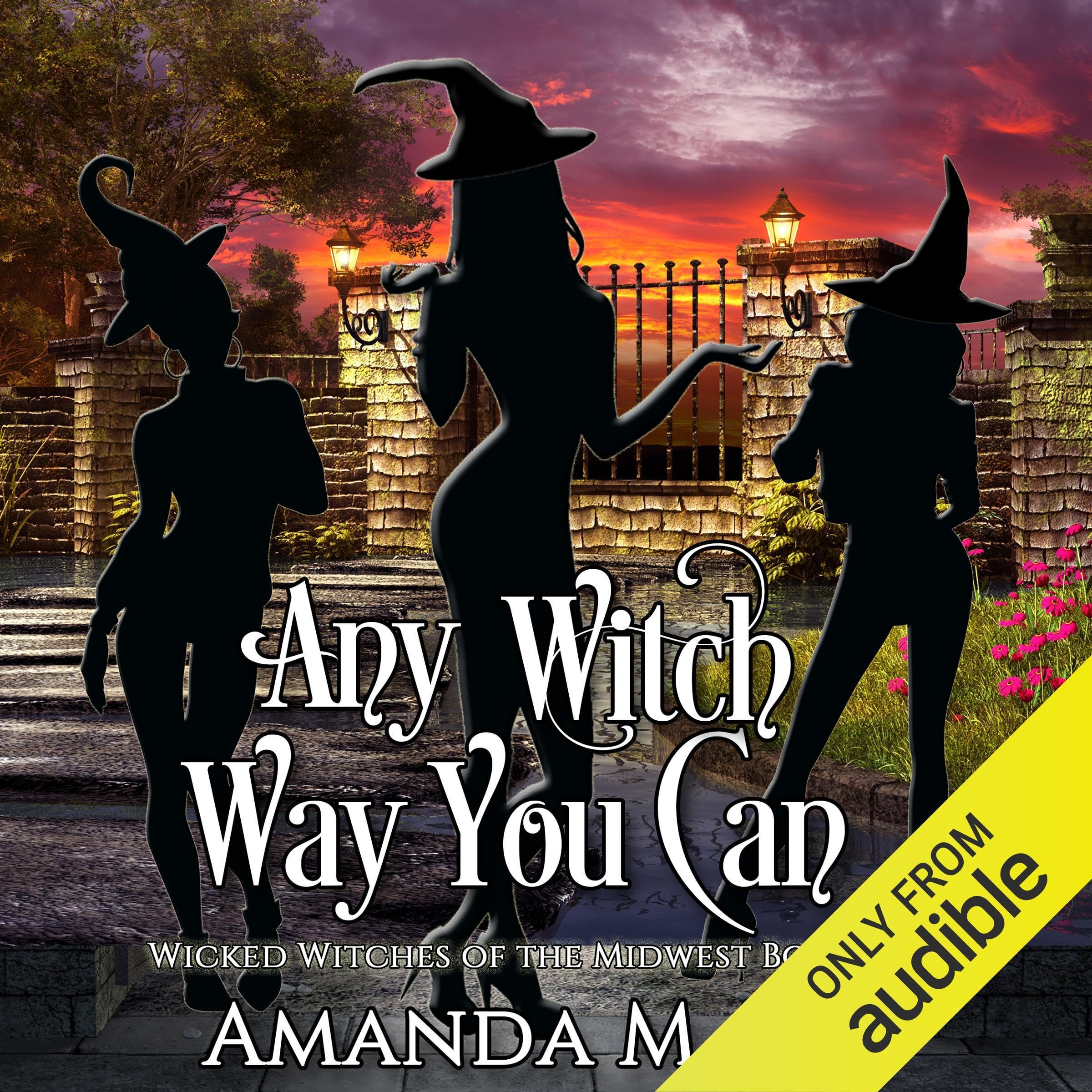Cover art for Any Witch Way You Can (Wicked Witches of the Midwest Book 1)