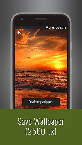 Ultimate 2 Wallpapers