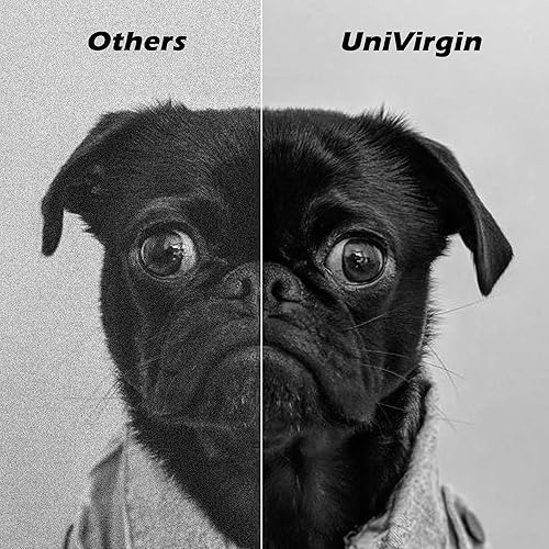 Miniatura 5 de S2830 - Cartucho de tóner compatible con Dell S2830 S2830dn serie láser para uso en 593-BBYP CH00D GGCTW (negro, 1 unidad)