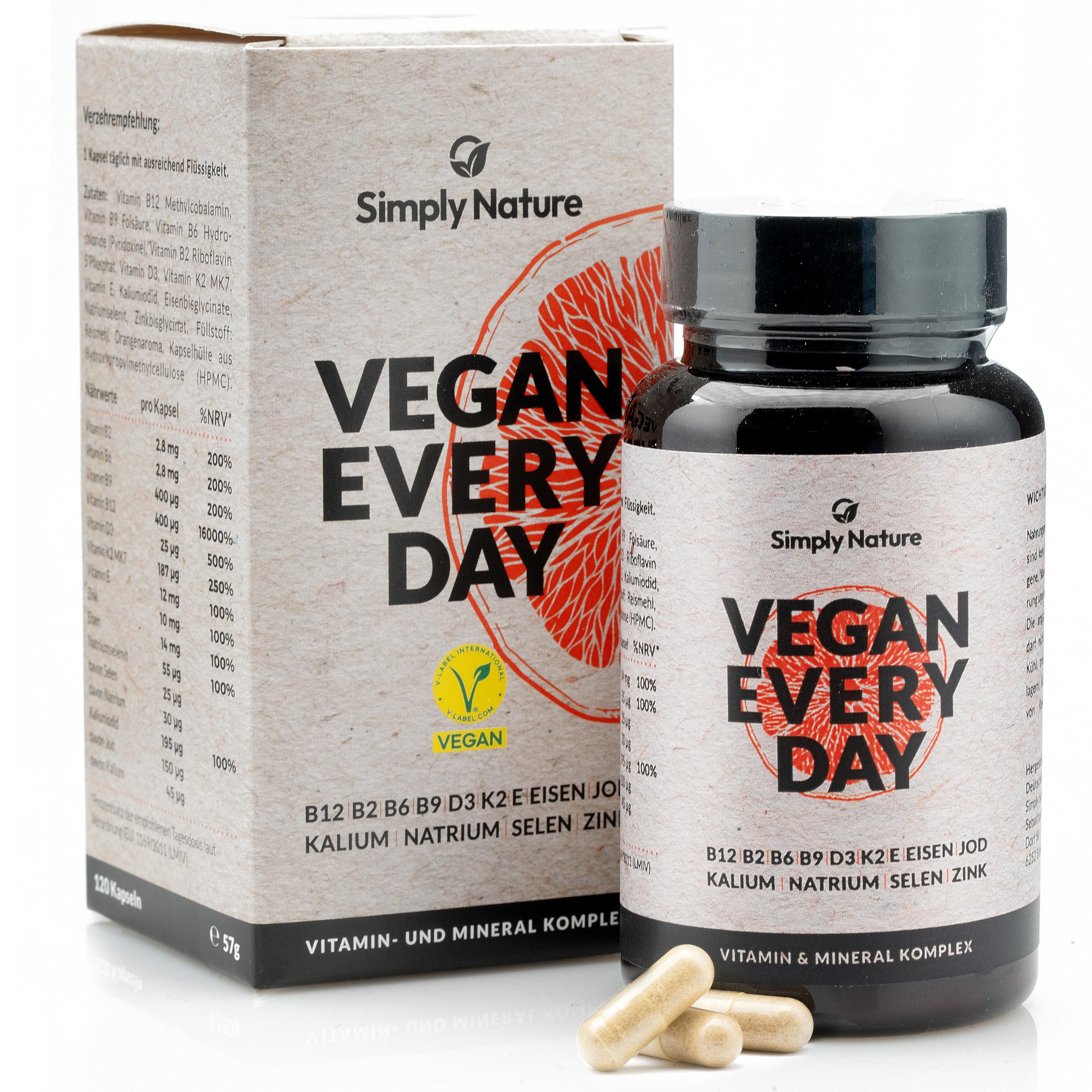 Vegan Every Day - Multivitamin Mineralstoff Komplex- Hochdosiert - 120 Kapseln - Deutsche Qualität - Laborgeprüft - B12+B2+B6+B9 Folsäure+D3+K2+E+EISEN+JOD+KALIUM+NATRIUM+SELEN+ZINK (Packung mit 2)
