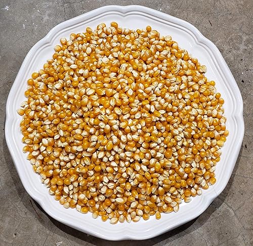 Miniatura 9 de Palomitas de maíz de Princeton - Cultivadas en granja, sin OMG, sin gluten, sin estallar, con forma de bola, palomitas de maíz antiguas - Pops extra