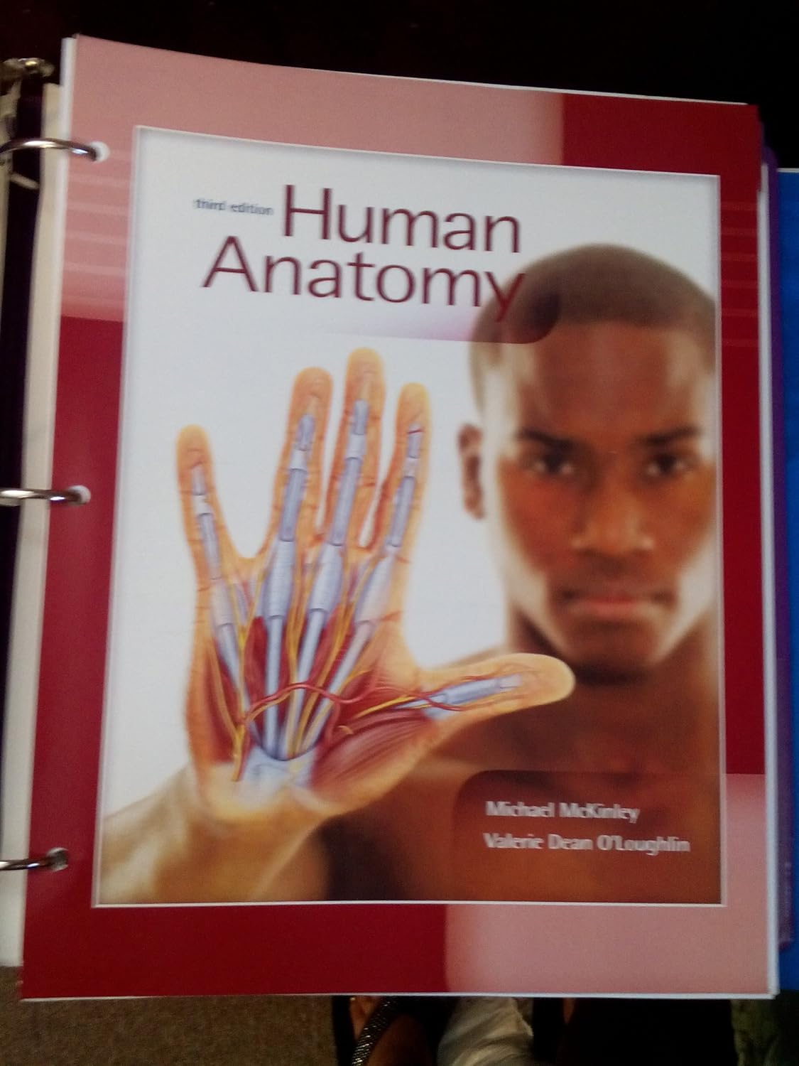 Buy Human Anatomy Book Online at Low Prices in India Human Anatomy
