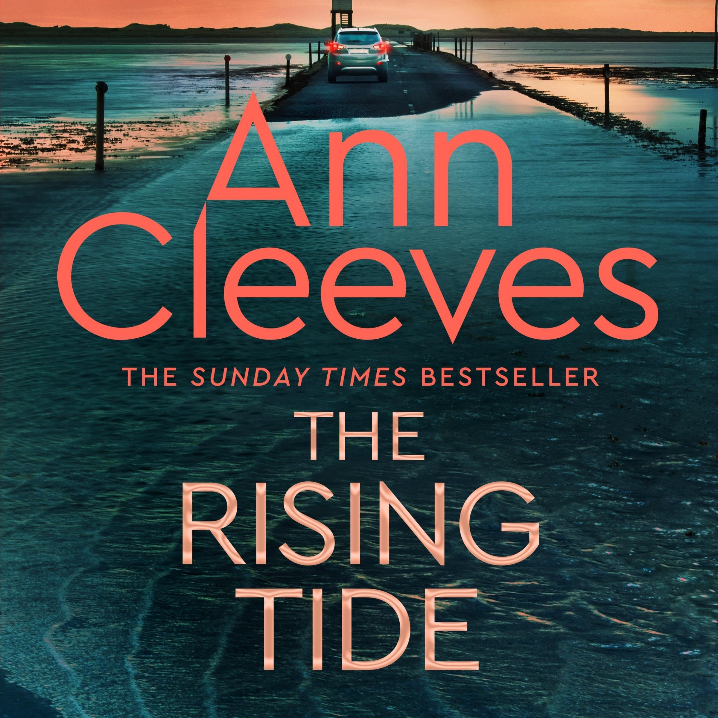 Cover art for The Rising Tide: A Vera Stanhope Novel 10