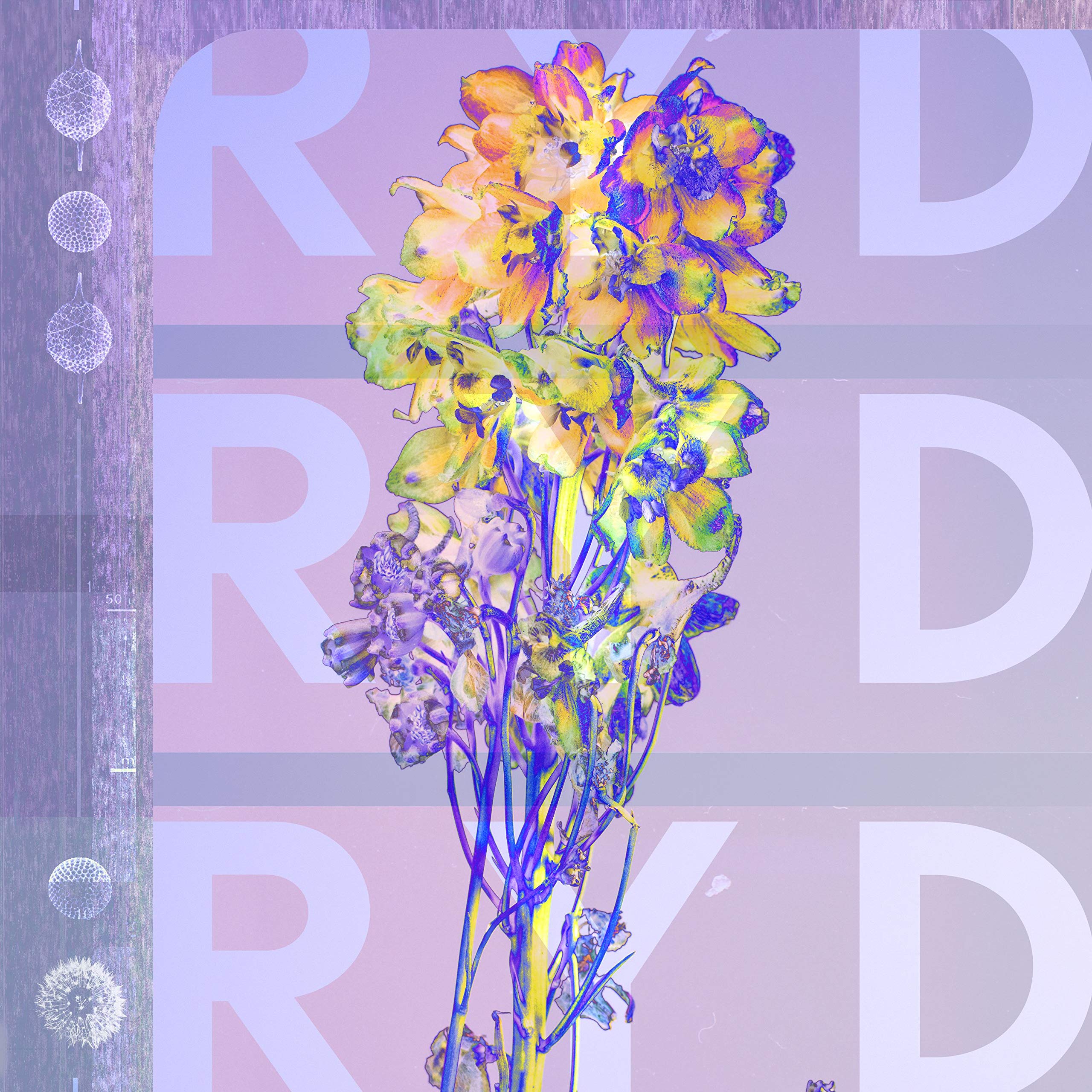 Ryd [VINYL]