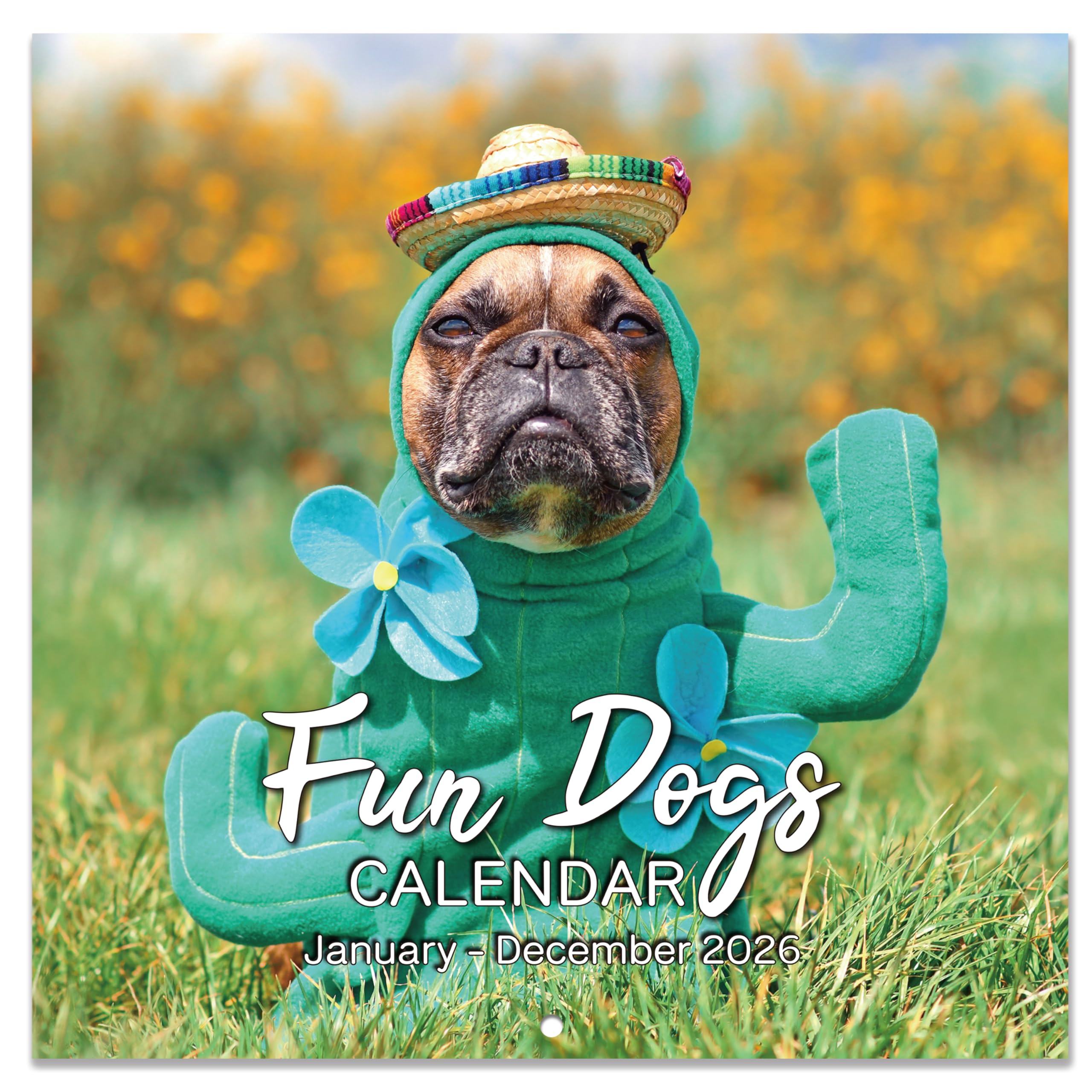 2026 Calendar - Cute Puppies Wall Calendar 2026, 12 Months Fun Dogs Calendar, Jan. 2026 - Dec. 2026, 12'' x 12'' (Closed), 12'' x 24'' (Open), Funny Dog Calendar Gag Gifts, Hanging Hole, Holidays
