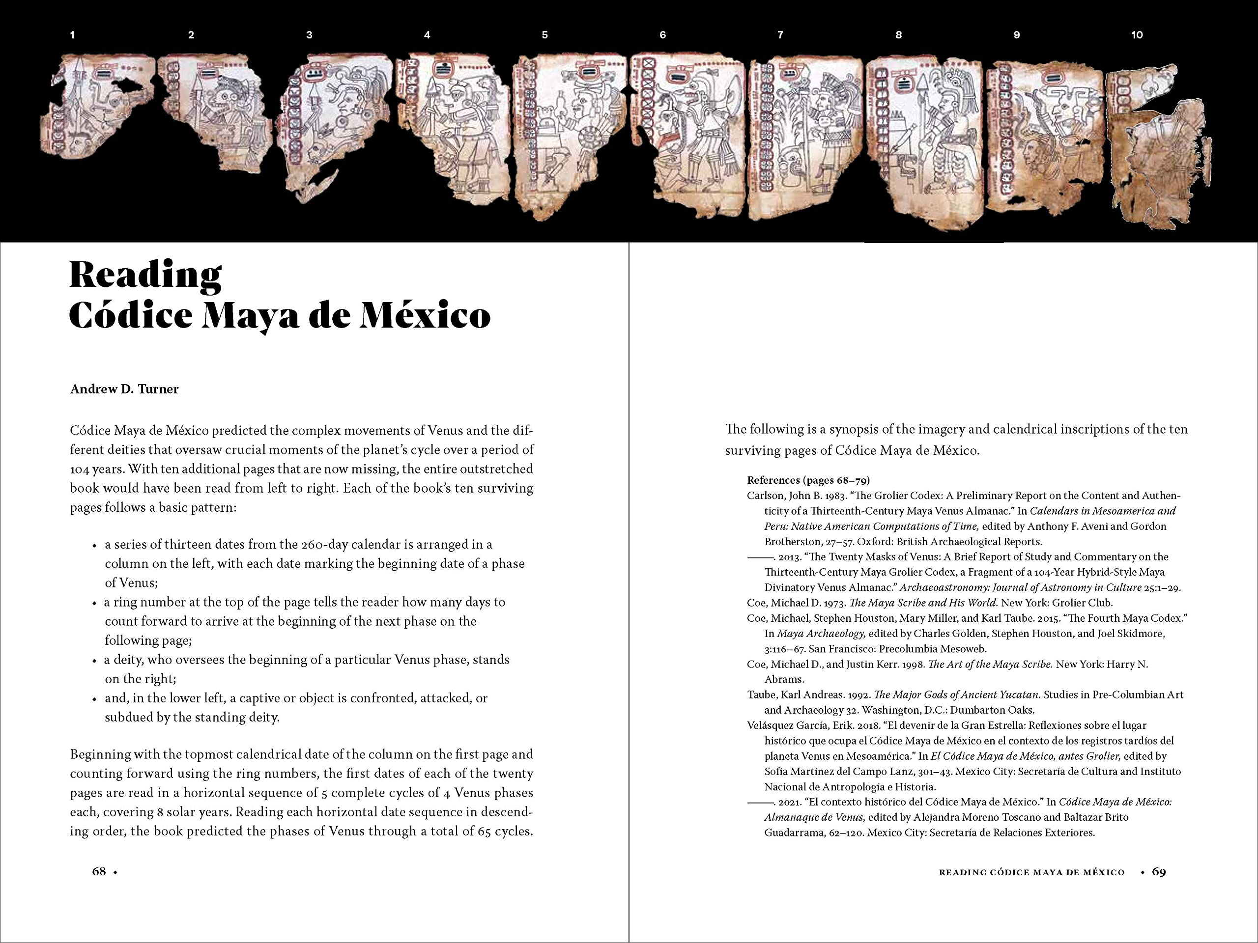 Codice Maya de Mexico: Understanding the Oldest Surviving Book of the Americas