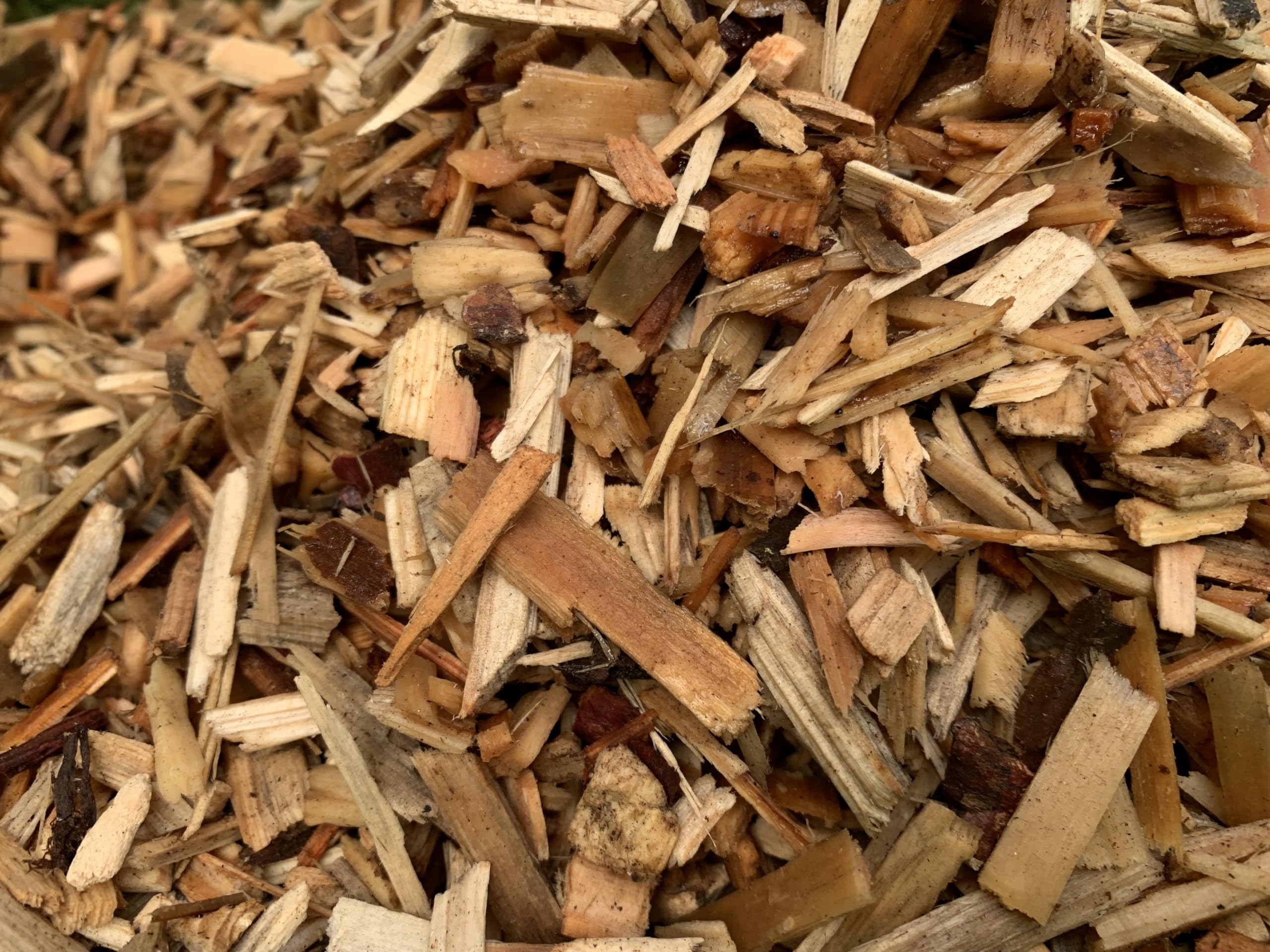 Generico PACCIAMATURA Naturale Biologica E BIODINAMICA ORTAGGI (70 Litri Sacco)