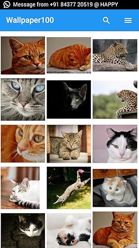Wallpapers100