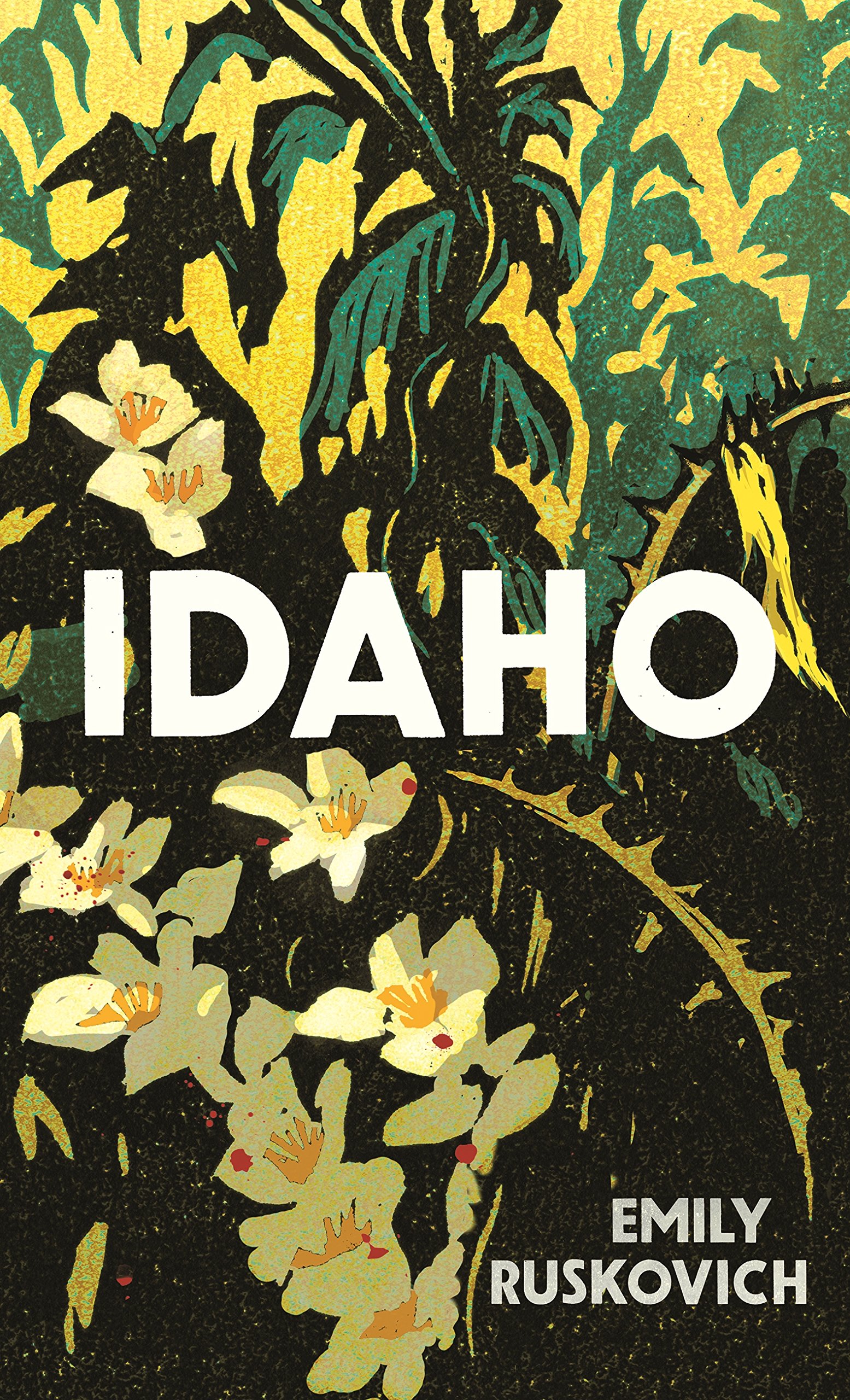 Buy Idaho — BookShops.in