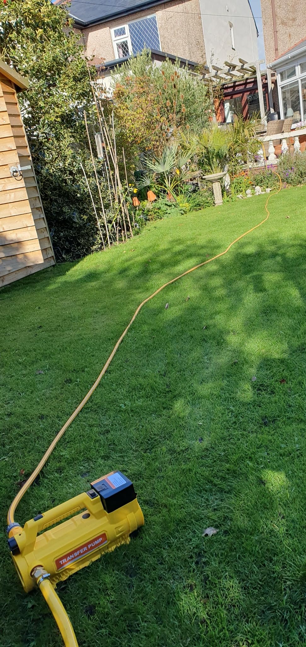 Customer photo