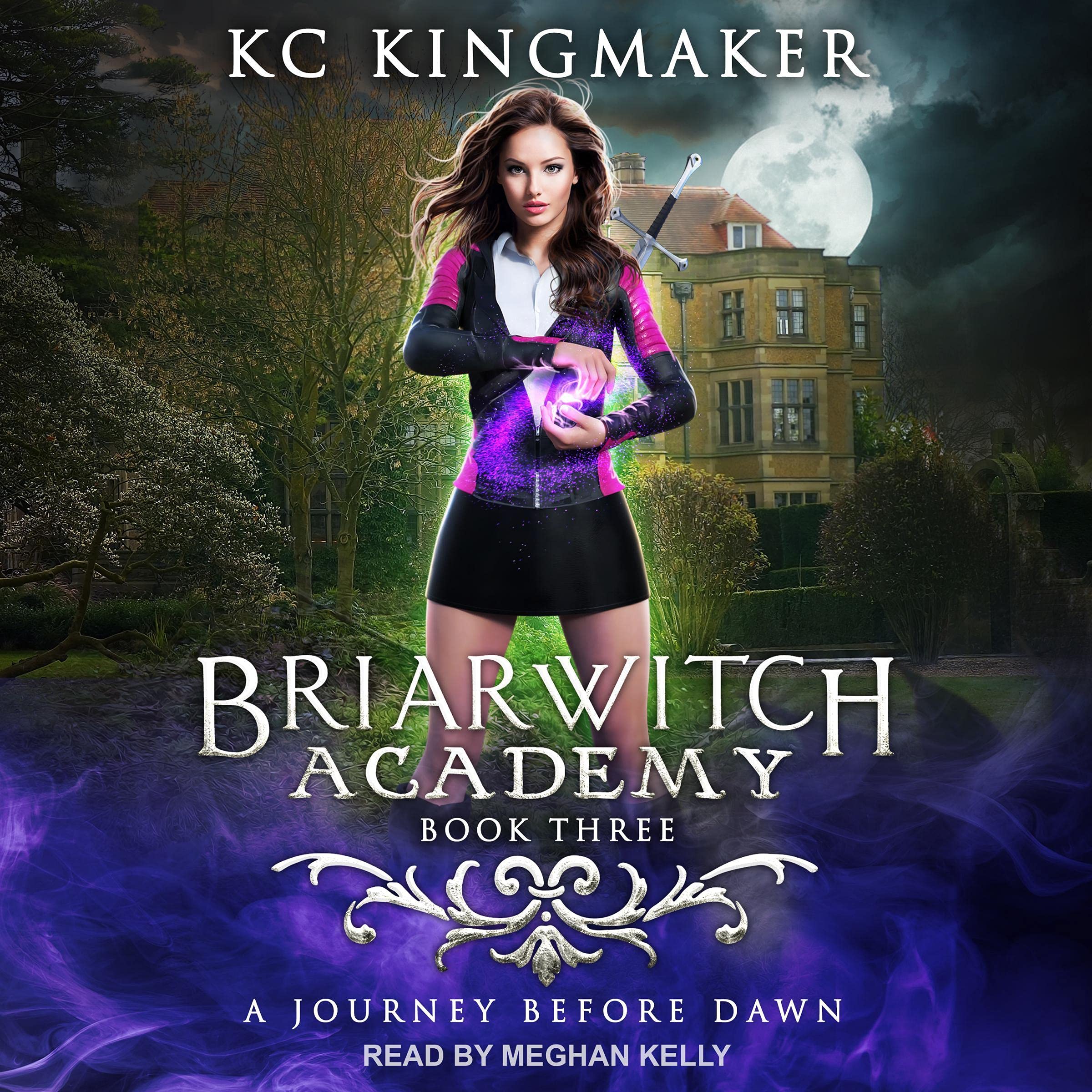 Cover art for A Journey Before Dawn