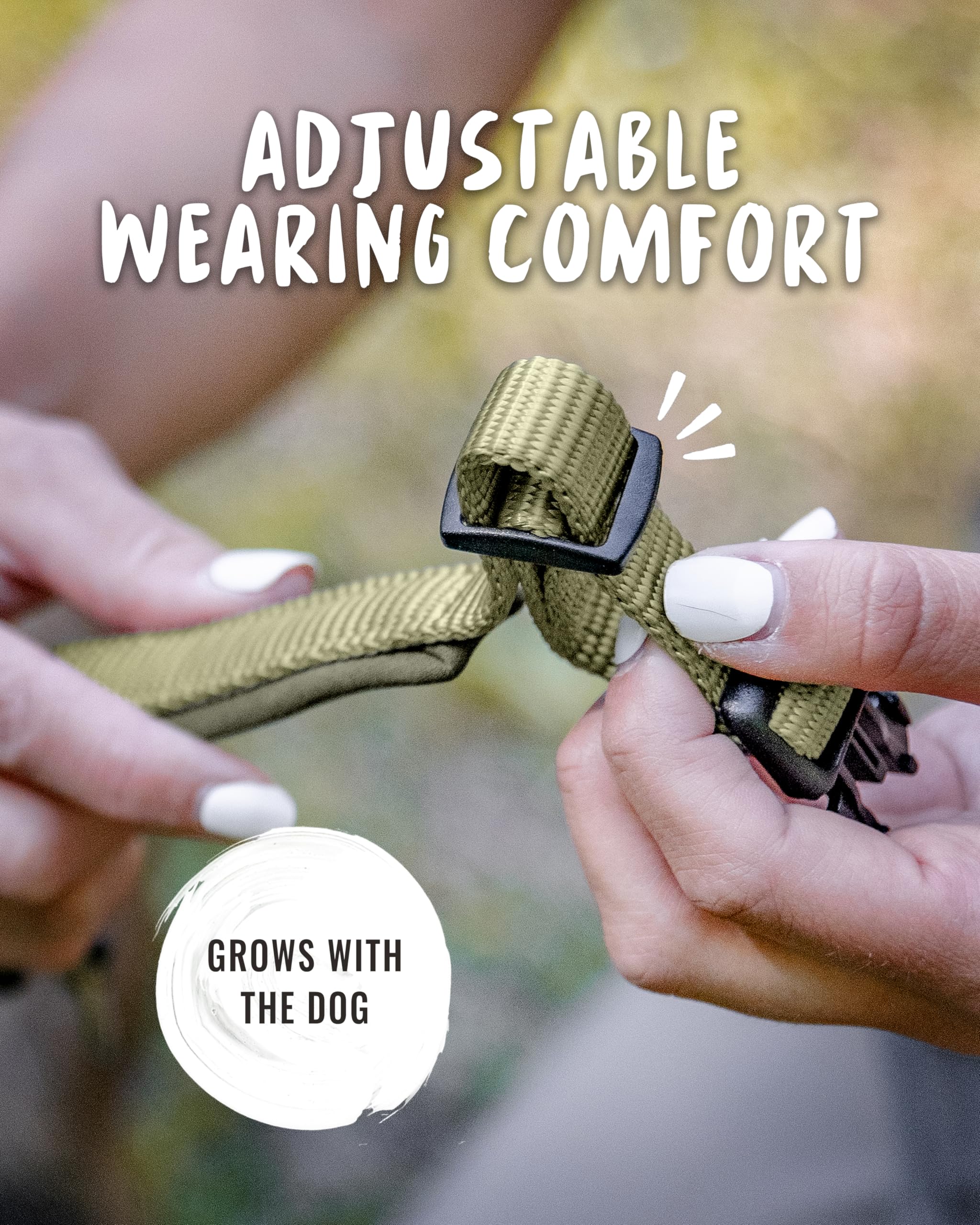 Rudelkönig Collare per cani Bella - Collare cane regolabile per cani - Collari per cani in cachi - Collare cane taglia piccola