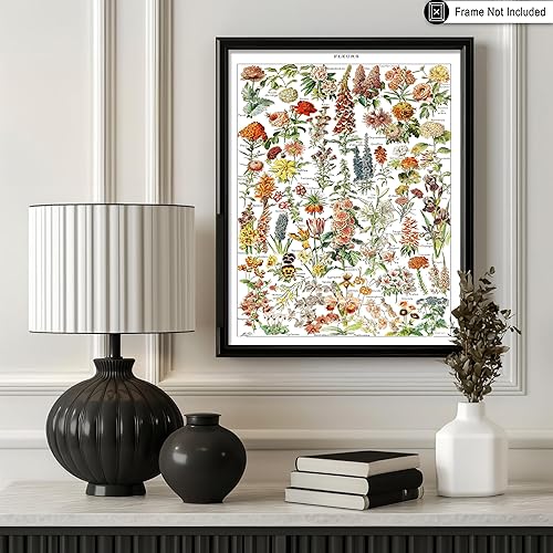 Miniatura 112 de Poster Master Póster vintage de orquídea, estampado de flores retro, arte de pared de plantas exóticas, arte botánico, regalo para hombres y