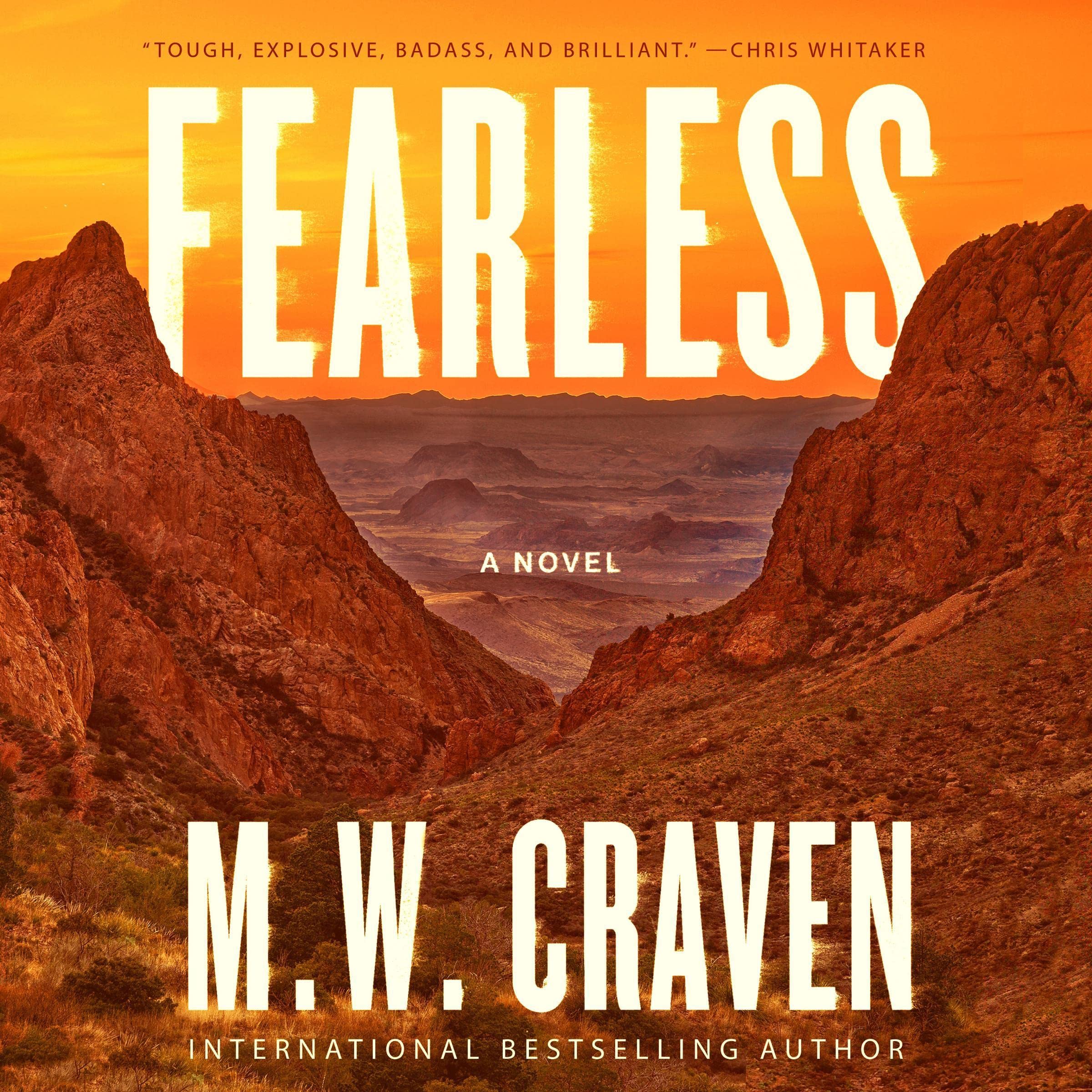 Cover art for Fearless: A Novel