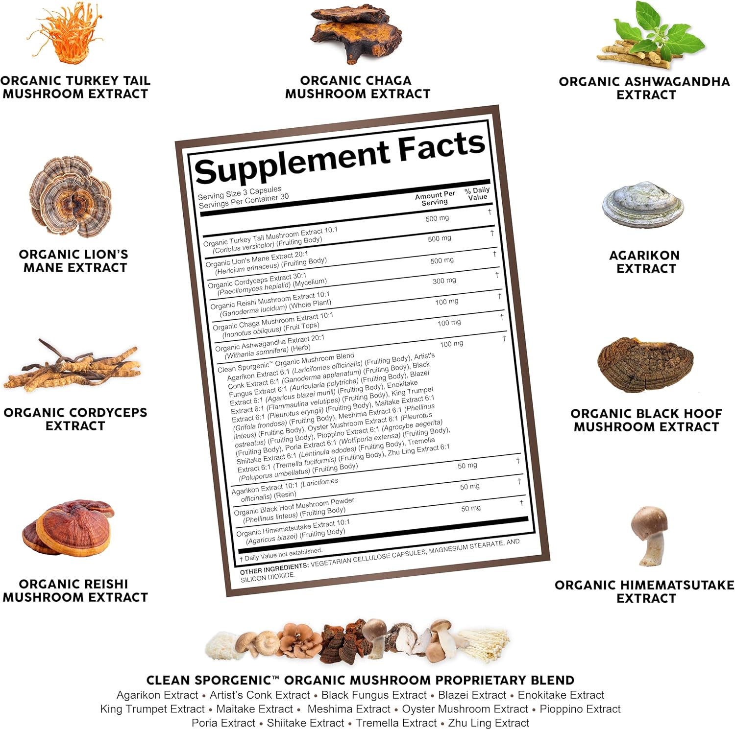 Organic Mushroom Supplement | Ashwagandha Lions Mane Cordyceps Turkey Tail Reishi Mushrooms Maca Root Black Hoof Chaga Tremella Agarikon Shiitake Oyster Powder Capsules Sporgenic by Clean Nutra (1) - Image 7