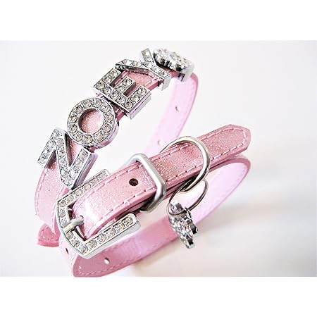 extra thin dog collar