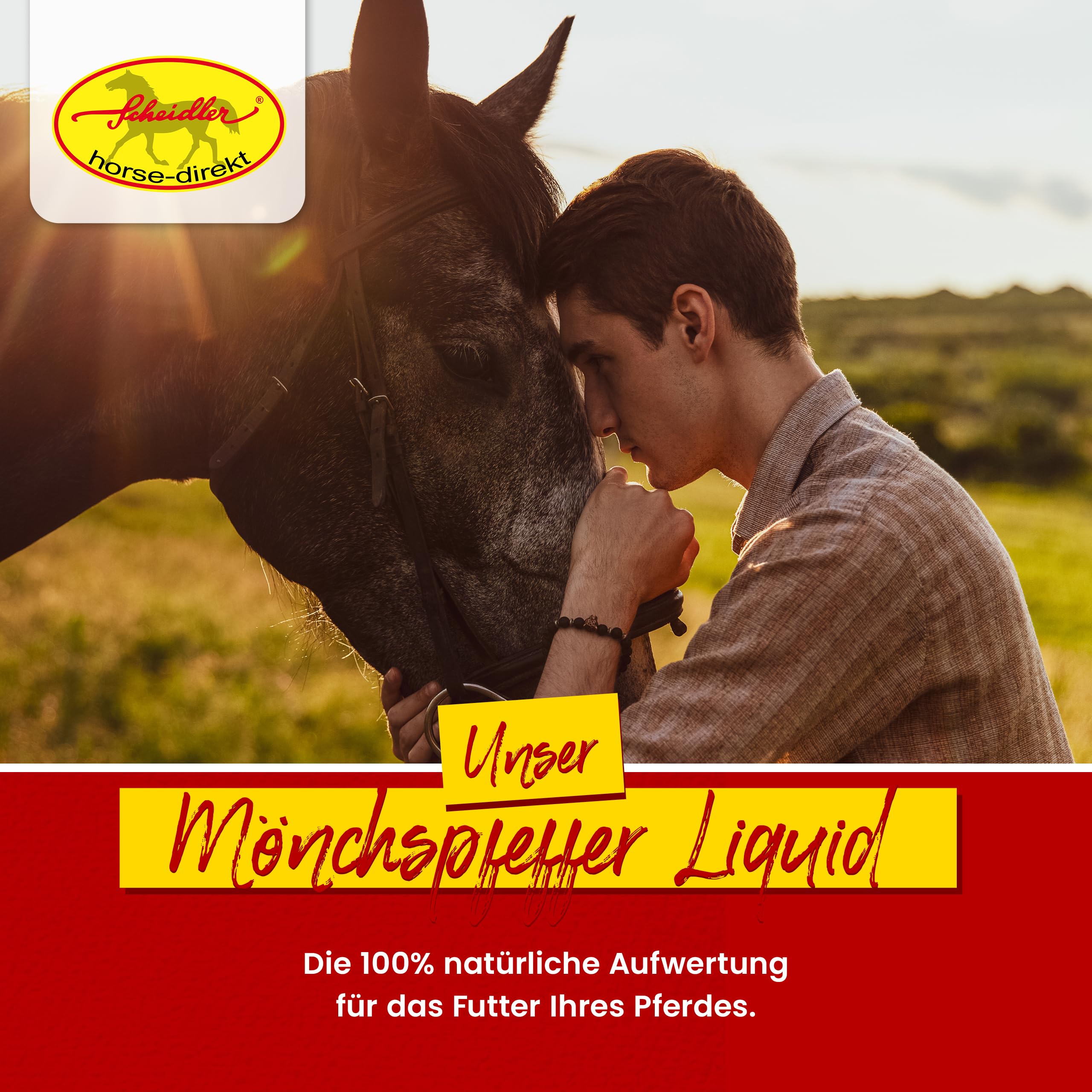 Scheidler horse-direkt Mönchspfeffer Liquid für Pferde 2500ml Hochdosiert – 100% Natürliches Ergänzungsfuttermittel für Pferde – Premium Sud aus Mönchspfeffer - Qualität aus Deutschland