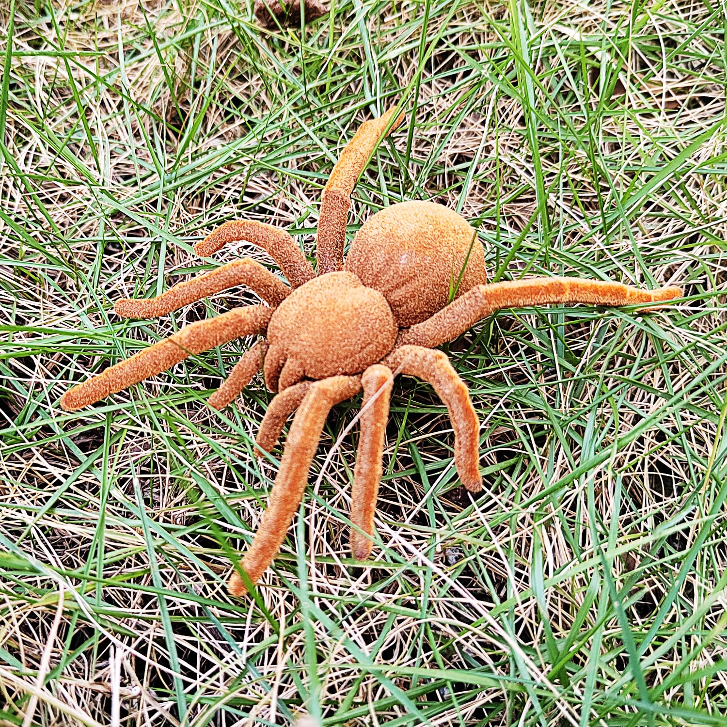 vibrating spider toy ZURU Robo Alive Battery Powered Crawling Spider Robotic Toy main image 1