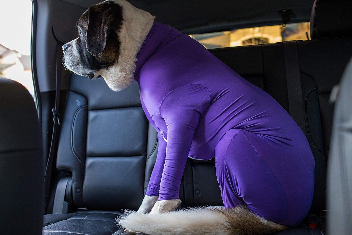 Shed Defender - Dog Onesie/Grooming -Contains The Shedding of Dog Hair, Reduce Anxiety, Replace Medical Cone