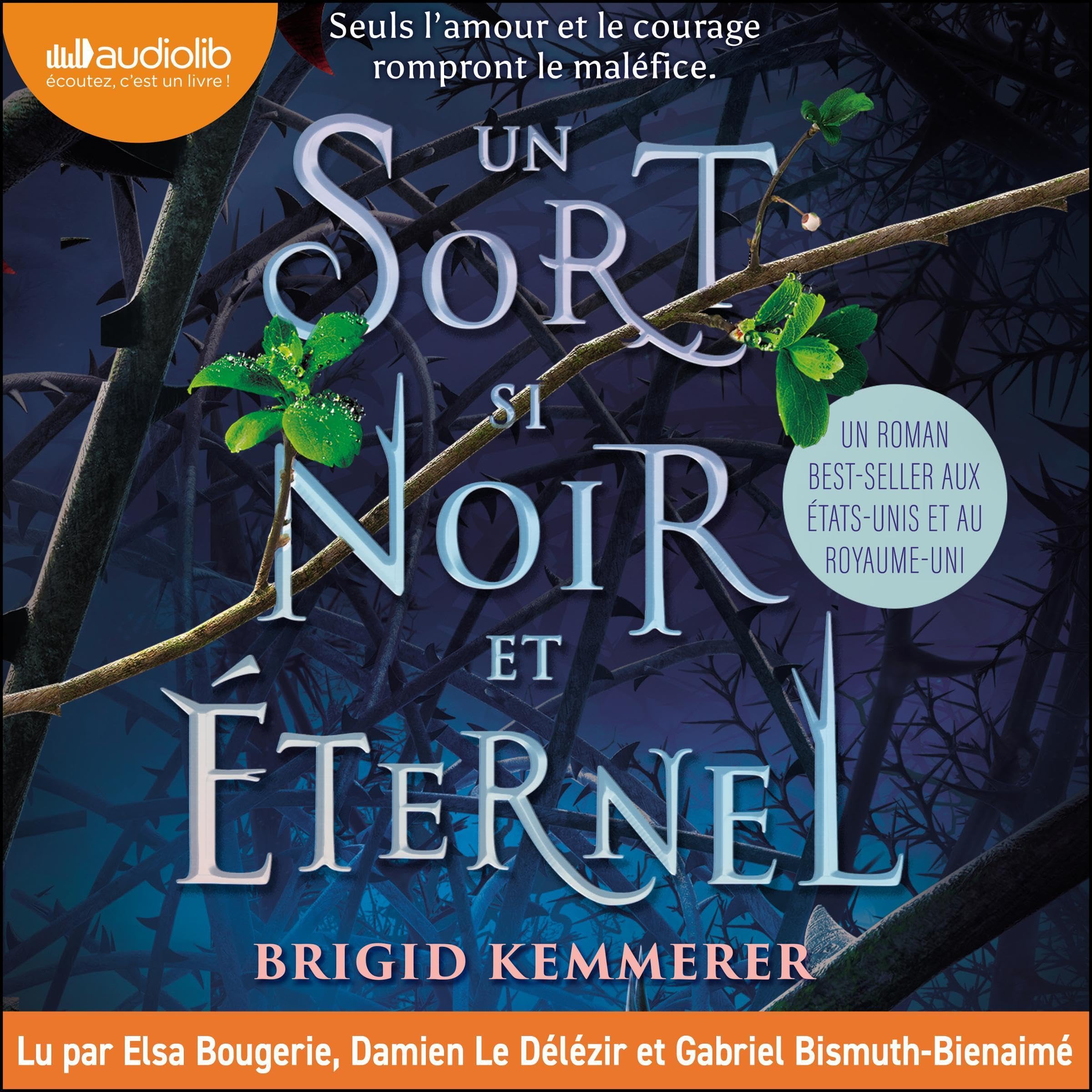 Cover art for Un sort si noir et éternel