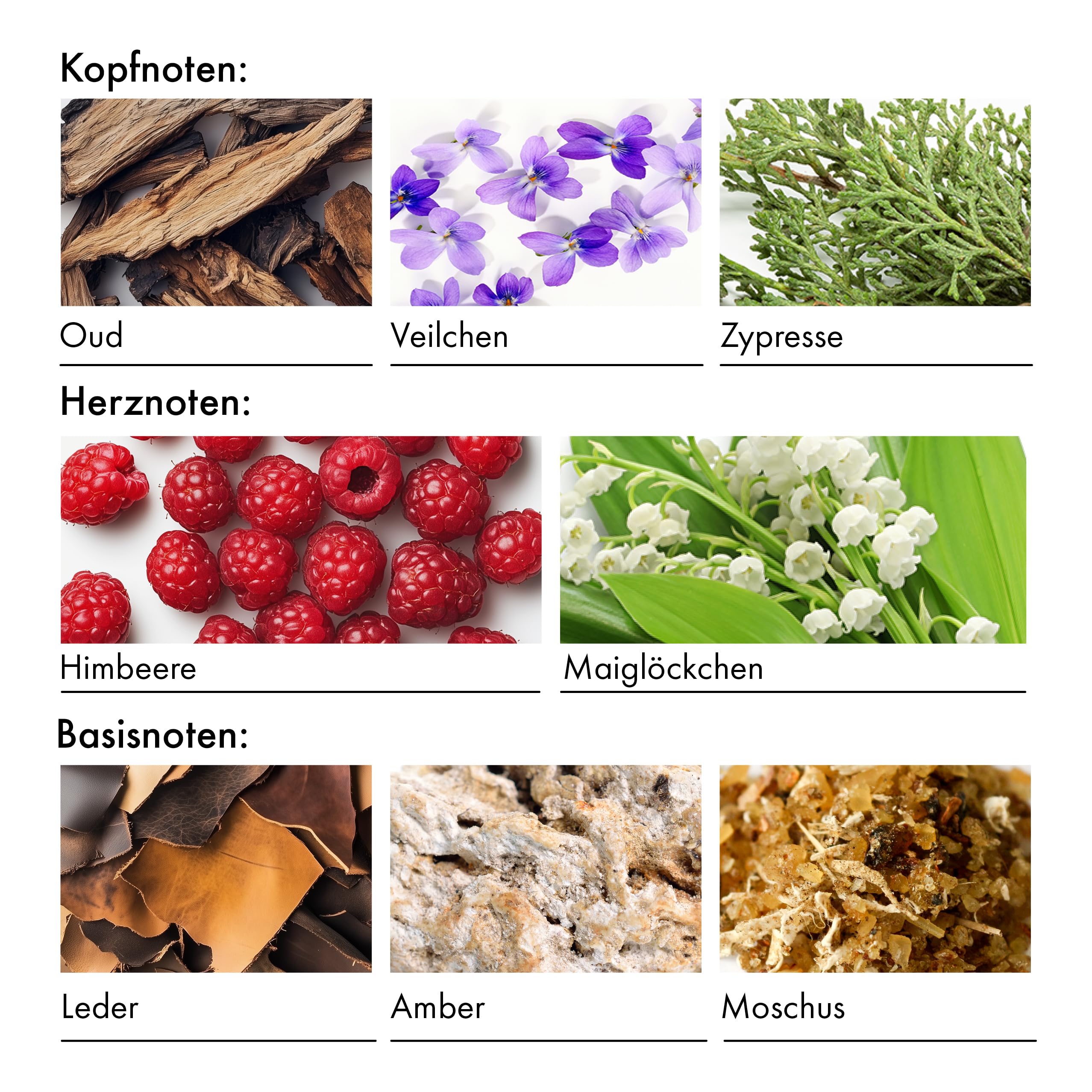 KAZAAR – HERAKLIT – 50ml – Eau de Parfum für Herren – Fruchtig-orientalisch mit Leder, Vanille & Oud – ideal für Abende im Frühling, Herbst & Winter – 20 % Duftöl für lange Haltbarkeit – Swiss Made