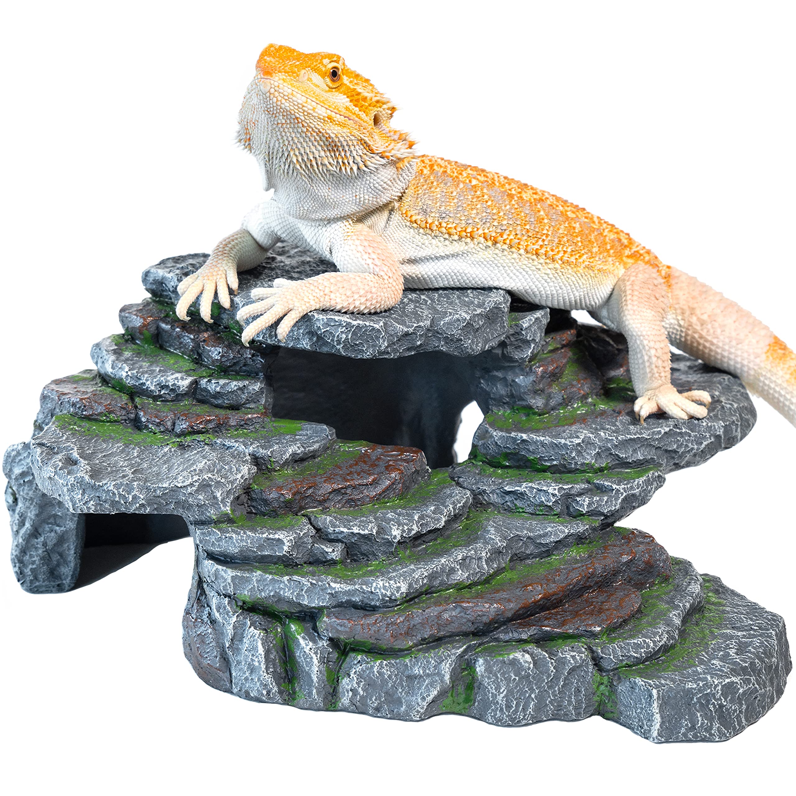 Magtara Ledge Hideout Rainforest Series Decorative Resin Basking Rock