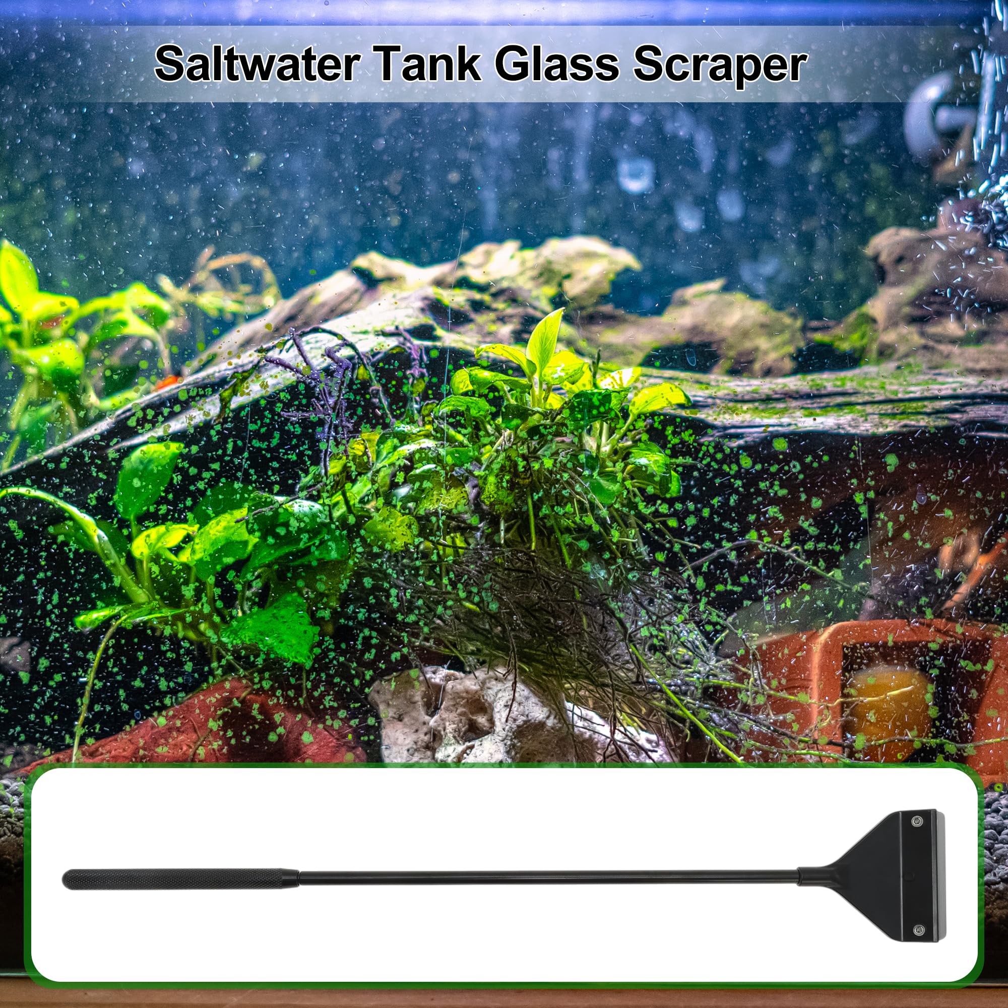 CAPASTEC Algaes Scraper for Glass Aquariums Fish Tank Cleaner with 10 Blades, Efficient Aquarium Cleaning Tool - Image 3