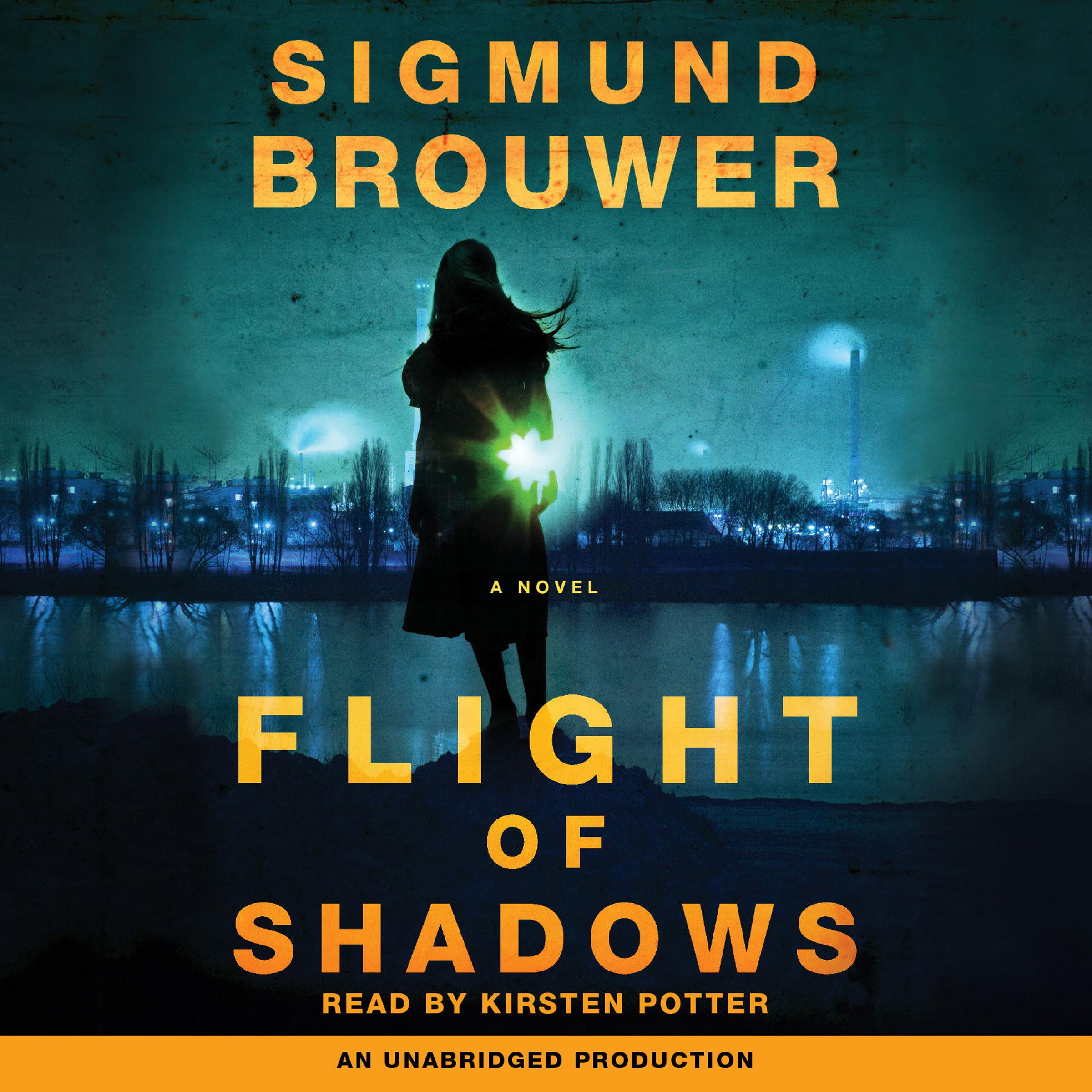 Cover art for Flight of Shadows