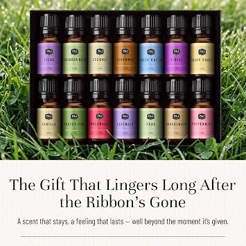 P&J Trading Fragrance Oil Favorite Set | Candle Scents for Candle Making, Freshie Scents, Soap Making Supplies, Diffuser Oil Scents