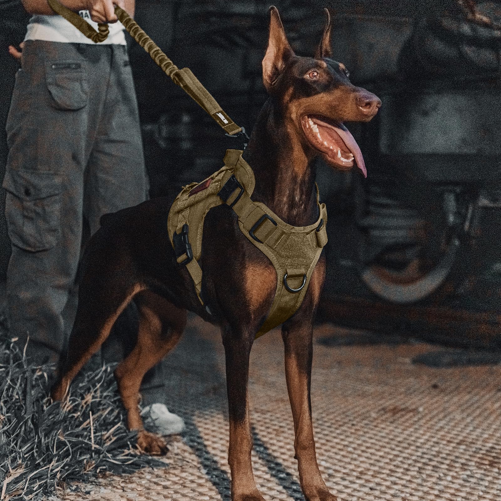 OneTigris Guinzaglio per cani caricato a molla, 86 cm – 120 cm, in nylon, con clip in metallo e 2 morbide imbottiture, lunghezza – marrone