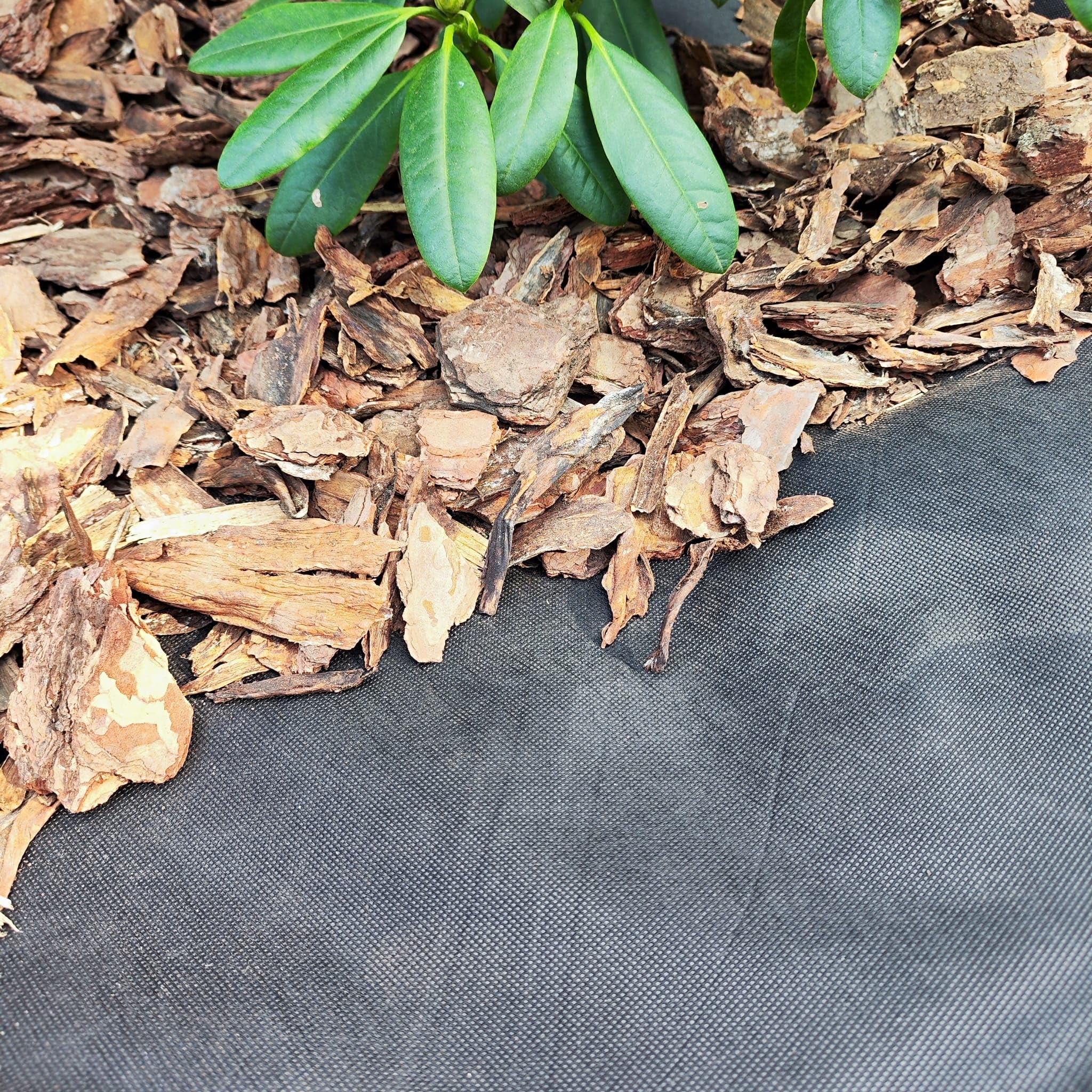 EraGreen Premium Unkrautvlies 100g/m² - 0,8m x 20m Gartenvlies wasserdurchlässig und UV-stabil - Unkrautmatte ideal für Garten und Hochbeet - umweltfreundliche Mulchfolie