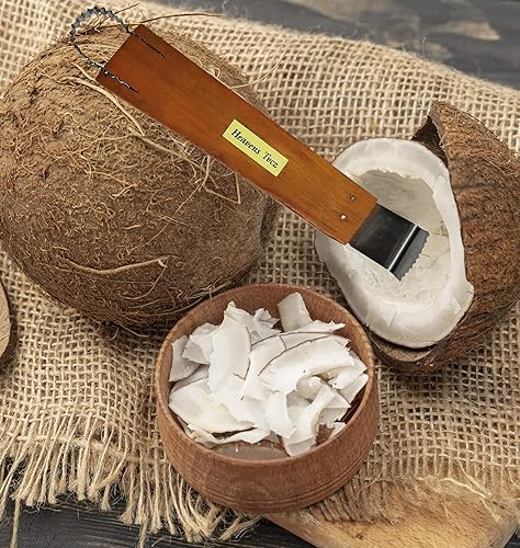 Miniatura 2 de Rallador de coco Raspador Máquina trituradora Papaya Fruta Hierba Negro Jalea Raspador Herramientas Tailandesas Cocina Coco 2 en 1 Rallador de