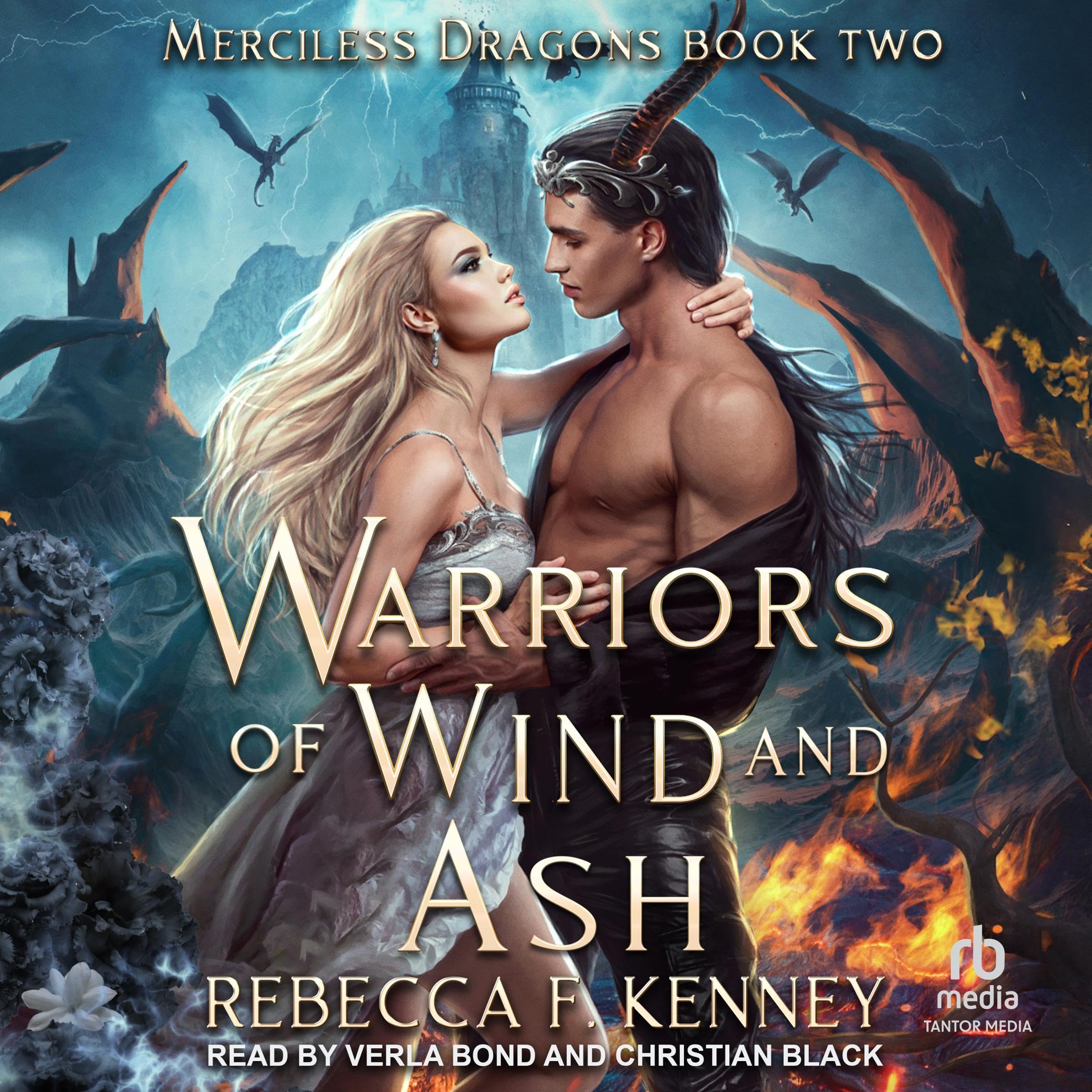 Cover art for Warriors of Wind and Ash