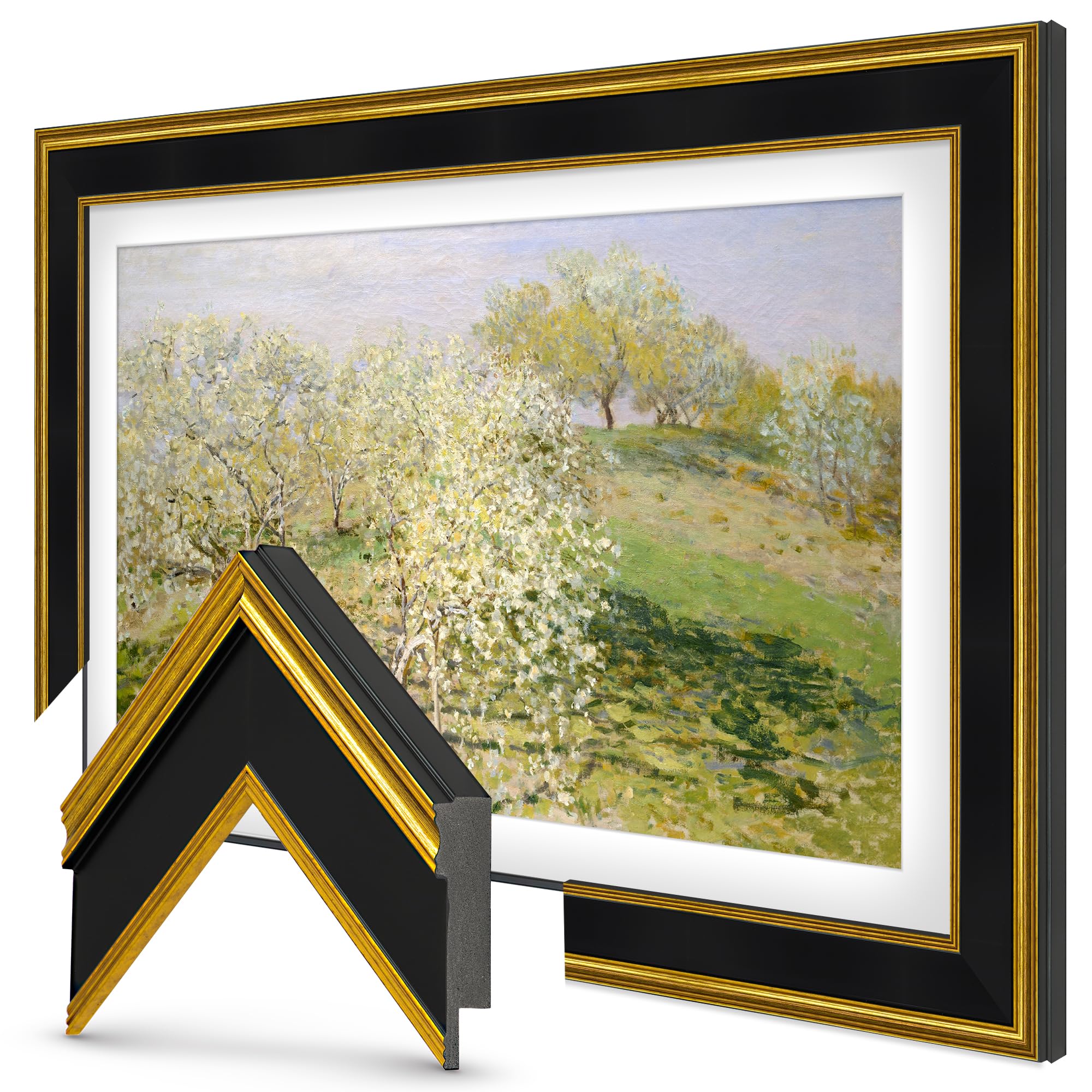 Amazon.com: Frame My TV Deco TV Frames - Antique Gold