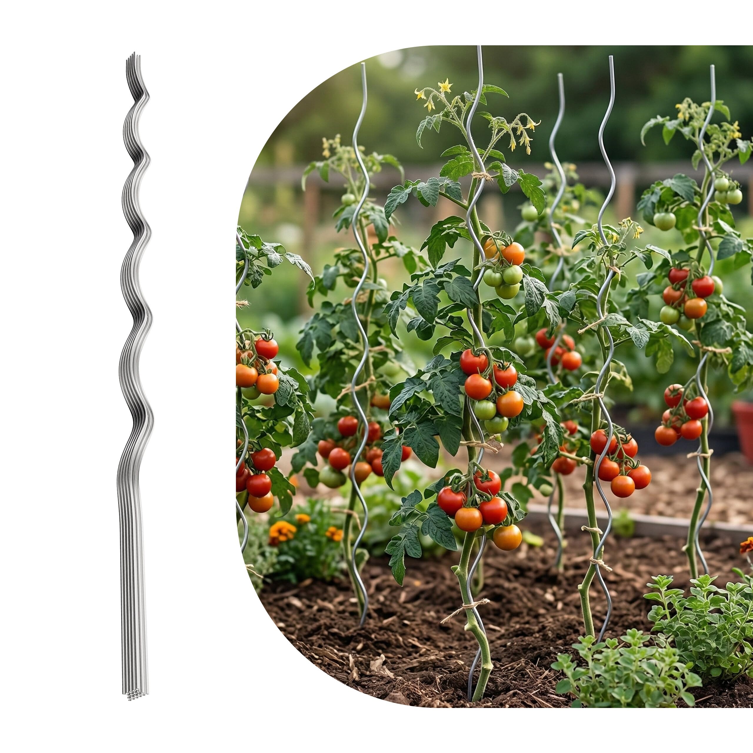 Relaxdays Supporto a Spirale per pomodori, Set da 10, Altezza 150 cm, Ø 5 mm, Metallo zincato