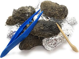 Pellets Barn Owl Pellets, Large (Pack of 10) with 10 Forceps and Probes - Bone Chart Included!