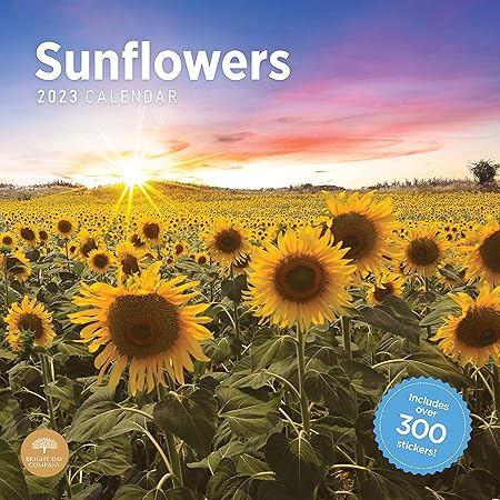 Amazon.com : Sunflower Calendar 2023 Monthly Wall Hanging Calendar Amazon.com : Sunflower Calendar 2023 Monthly Wall Hanging Calendar