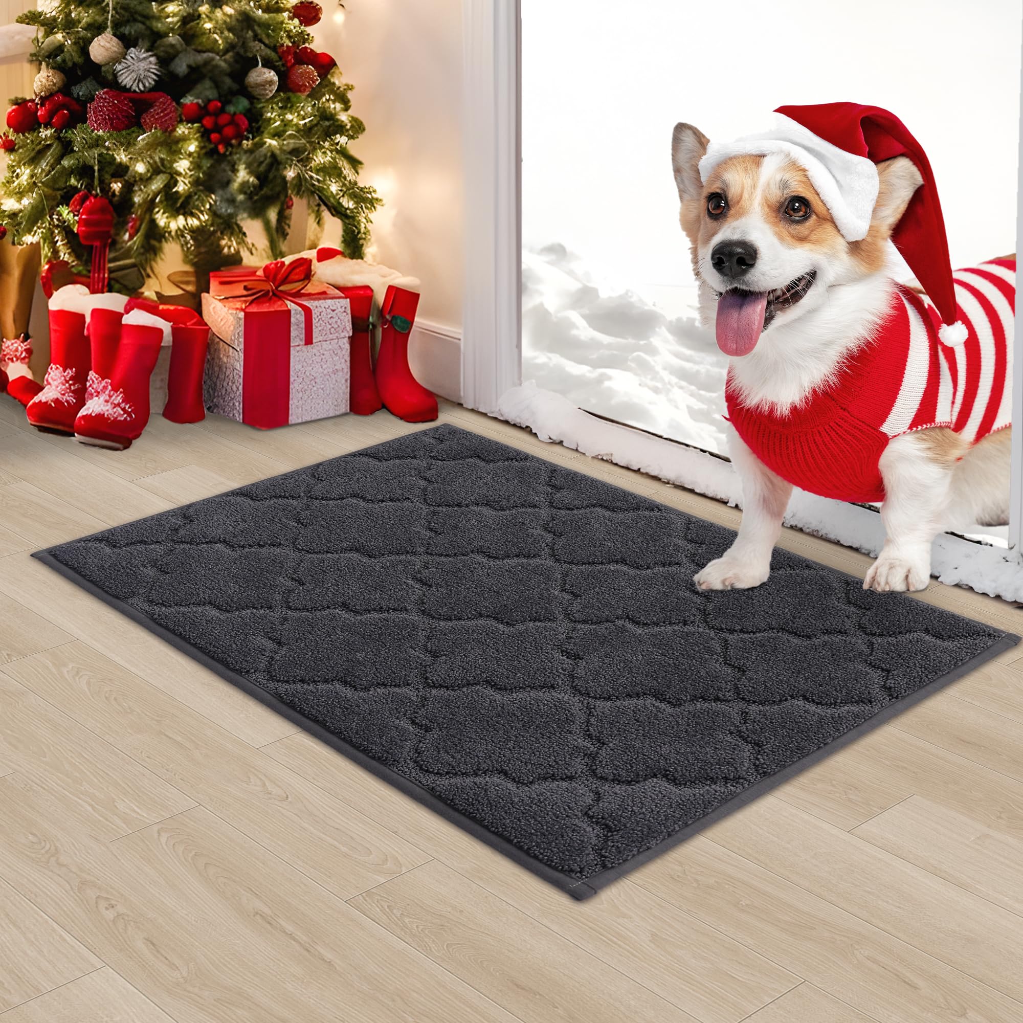 COSY HOMEER 24x36 Non-Slip Indoor Doormat, Soft, Absorbent, Dirt Trapper, Machine Washable, Dark Grey