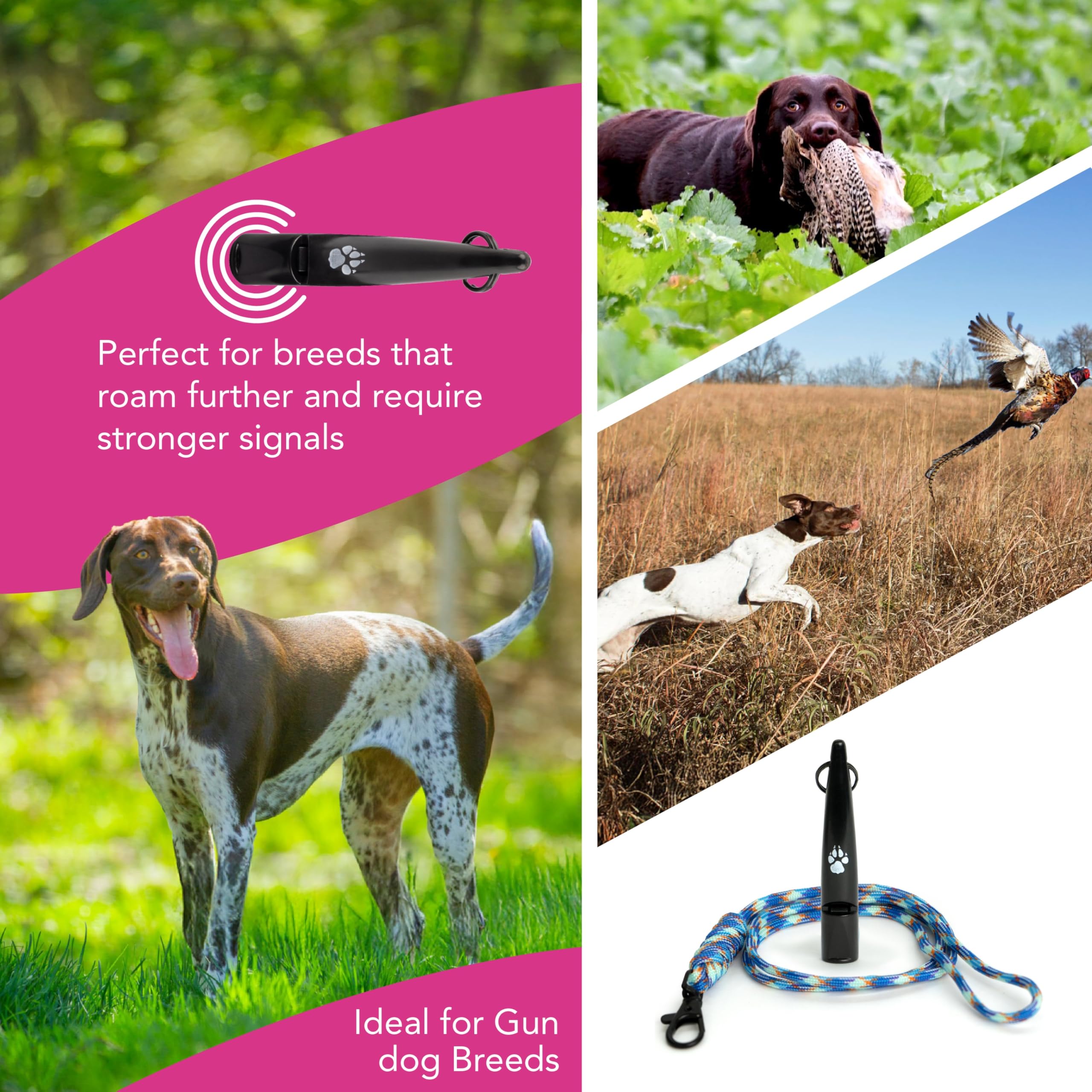 TDL Gun Dog Training Whistle with Lanyard, Dog Whistle with Loud, Solid Tone & Far Reaching Sound - Image 3