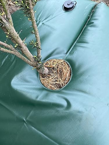 Miniatura 6 de Paquete de 1 anillo de riego de árboles, liberación lenta de 20 galones, se adapta a árboles de diámetro máximo de 6 pulgadas, riego profundo de