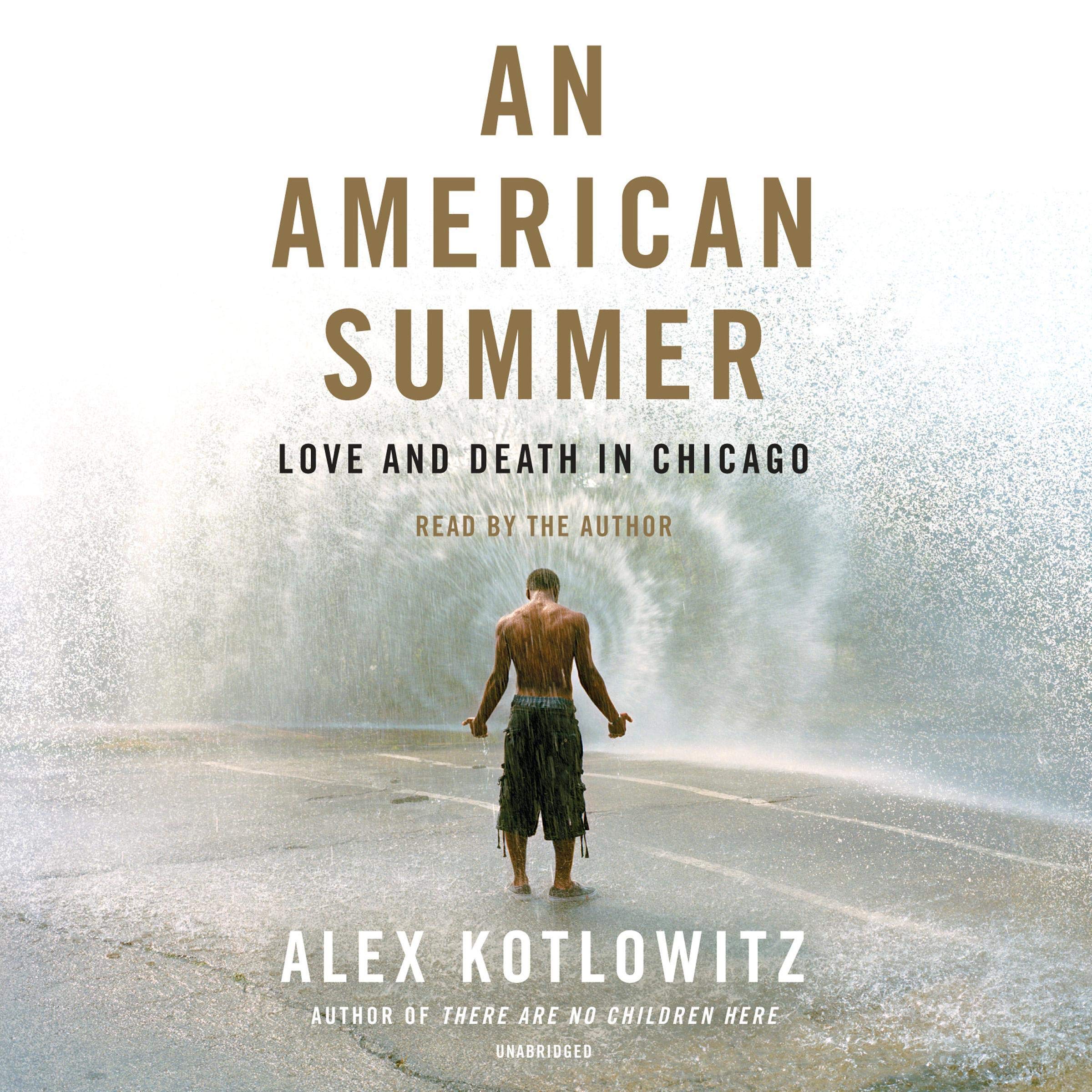 Cover art for An American Summer
