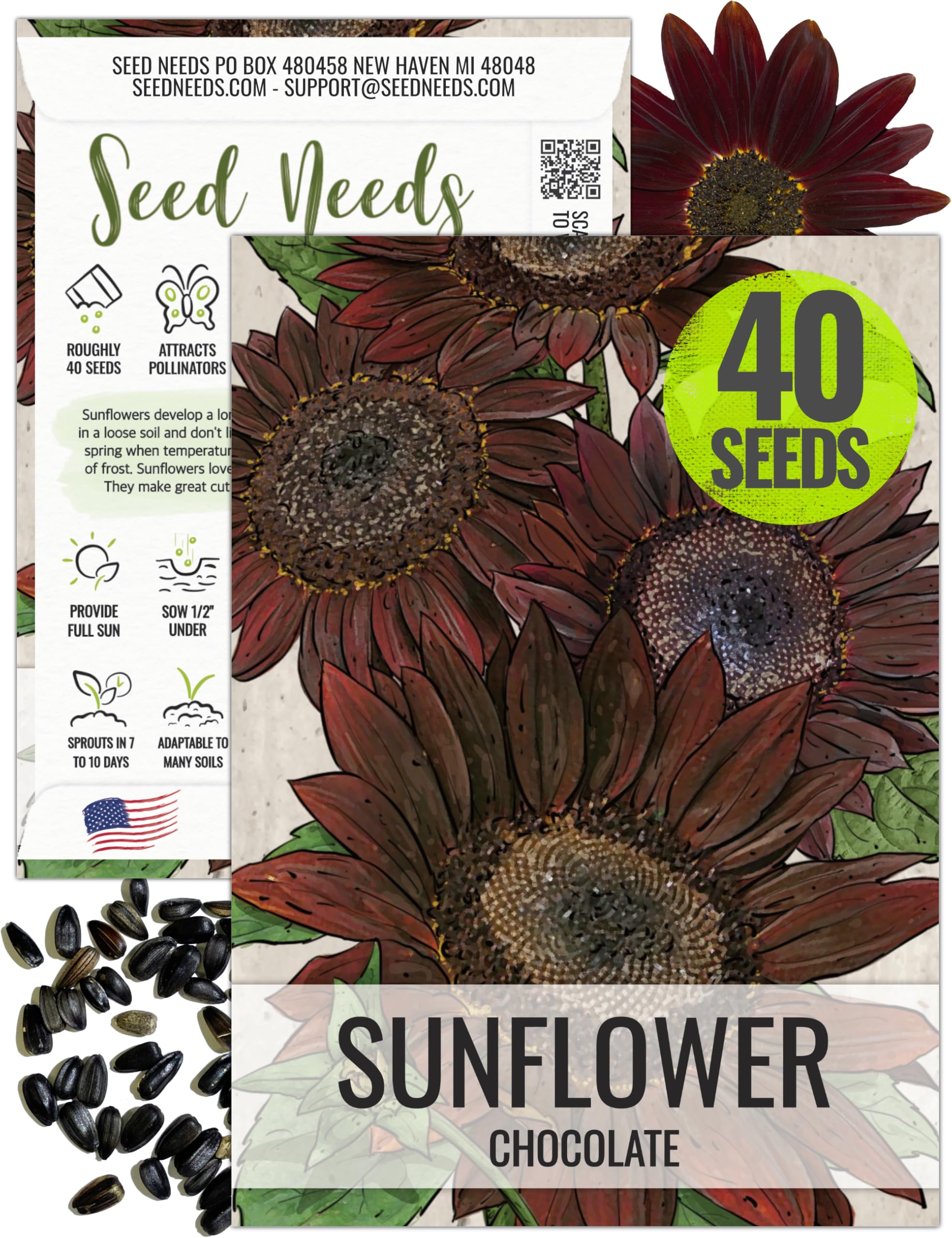 Seed Needs, Chocolate Sunflower Seeds - 40 Heirloom Seeds for Planting Helianthus annuus - Annual Flowers to Plant Outdoors, Attracts Bumblebees and Butterflies, Great as a Cut Flower (1 Pack)